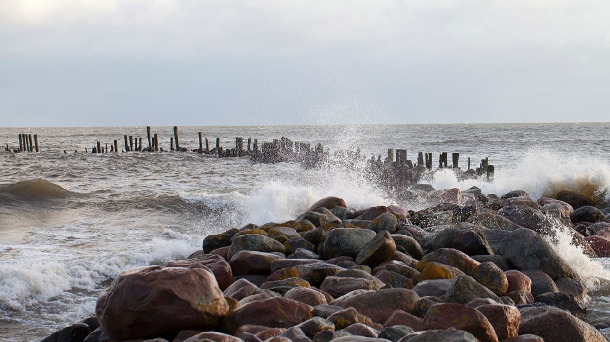 Radikale Venstres nye klimamål kan lade sig gøre, hvis politikere, erhvervsliv og borgere følger med, skriver Martin Lidegaard.&nbsp;
