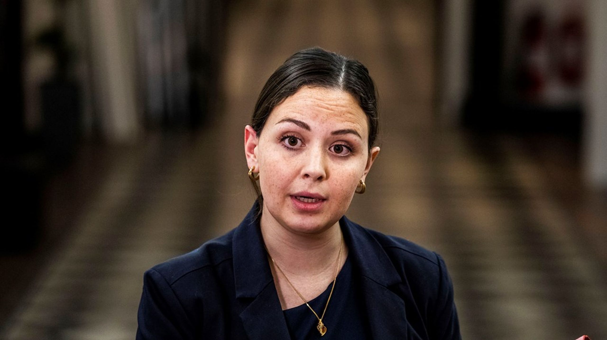 Ifølge&nbsp;Victoria Velásquez er det et indgreb i forskningsfriheden, når
Morten Messerschmidt (DF) eller Henrik Dahl (LA) "vil diktere, hvilke emner den
frie forskning må tage op."