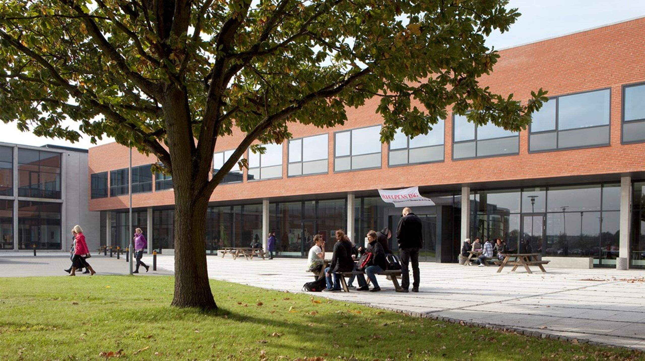 UC Syd har valgt at indføre en direktion bestående af rektor, Alexander Von Oettingen, og tre nye direktører.