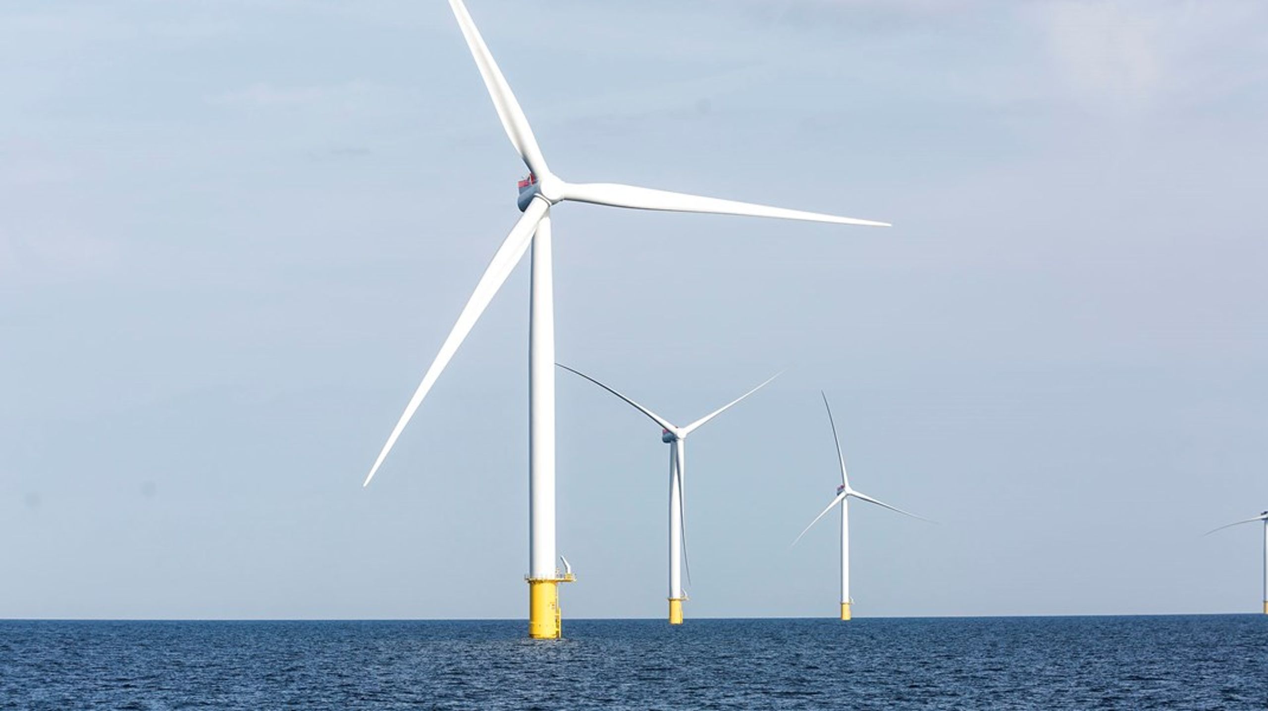 Man bør prioritere områdets havfugle og biodiversitet over forretning og vindmøller, skriver&nbsp;Christian Clausen.