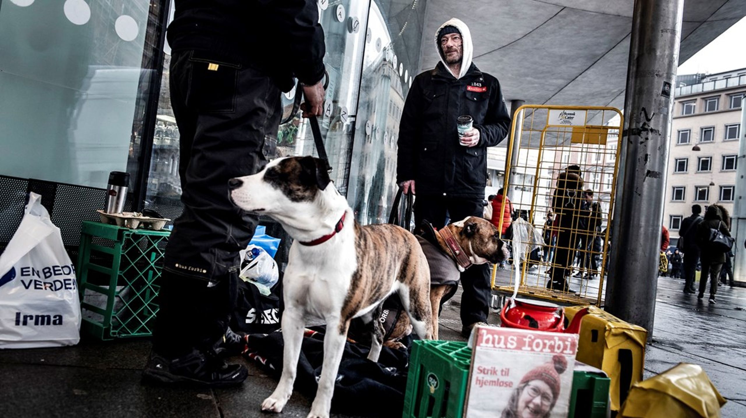 Antallet af hjemløse er de sidste ti år steget med 30 procent.