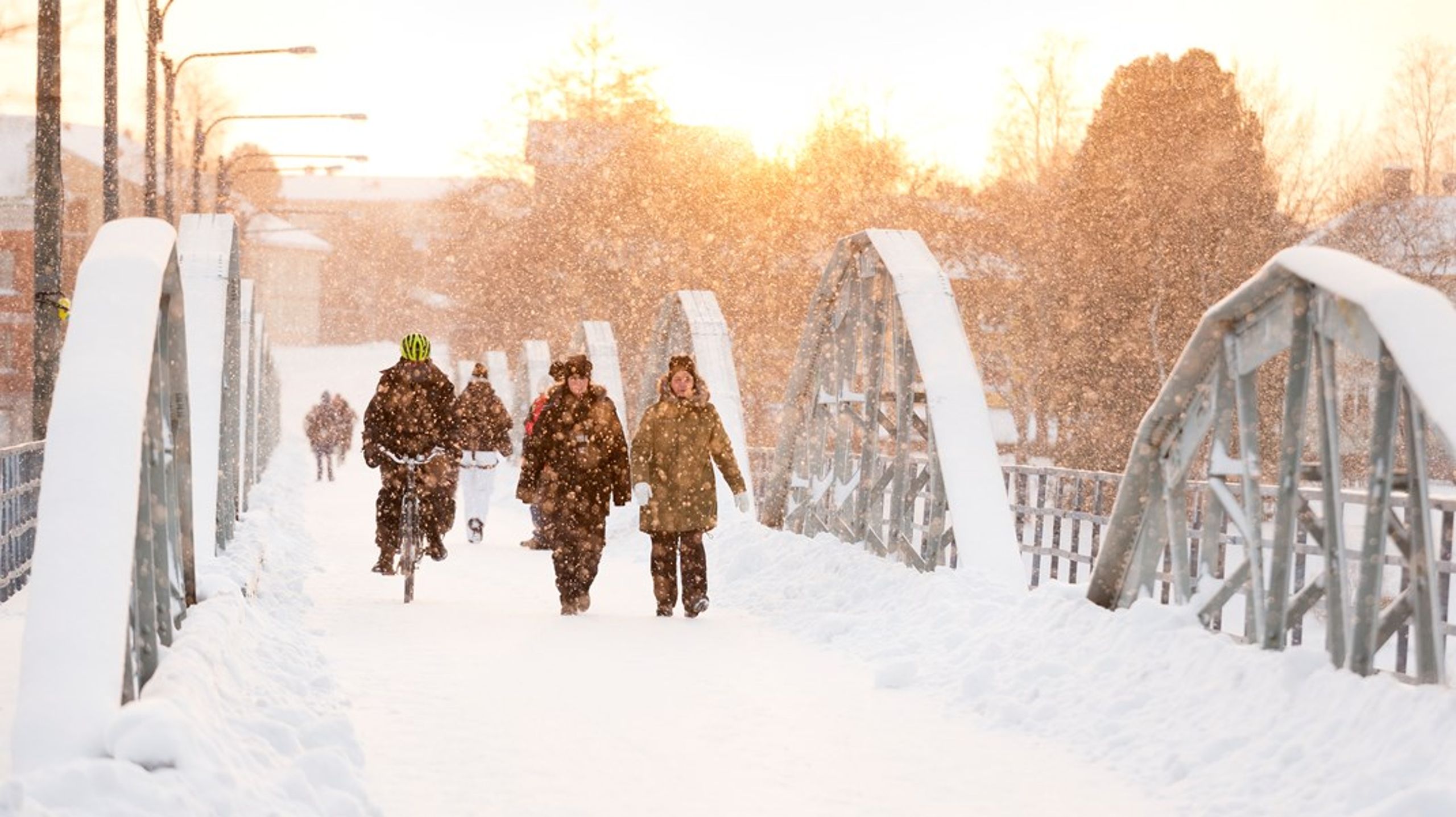 Energikrisen viser, at der er brug for langsigtede løsninger i Europa, så vi bliver mindre afhængige af naturgas - og dermed også Rusland, skriver Torsten Hasforth.&nbsp;