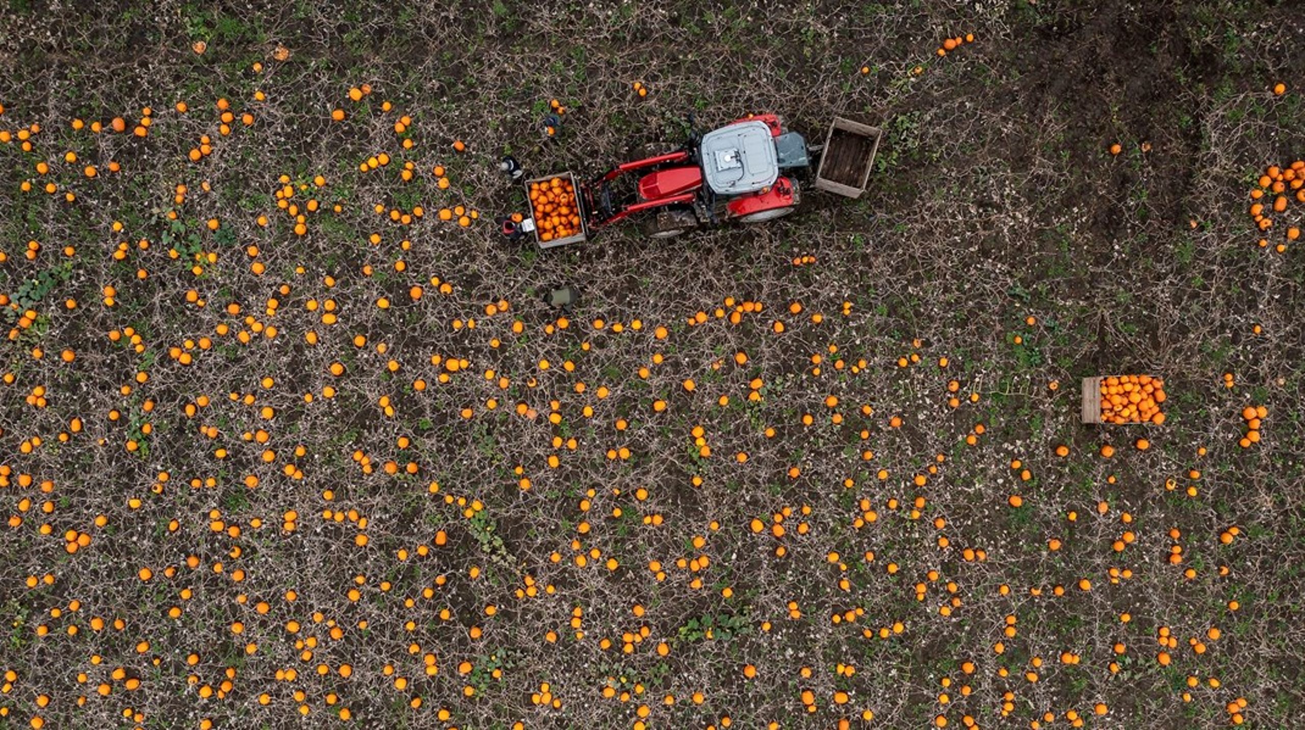 Midlerne, der er stillet til rådighed i landbrugsaftalen, skal dække hele værdikæden - fra jord til bord, skriver Frederik Madsen.<br><br>