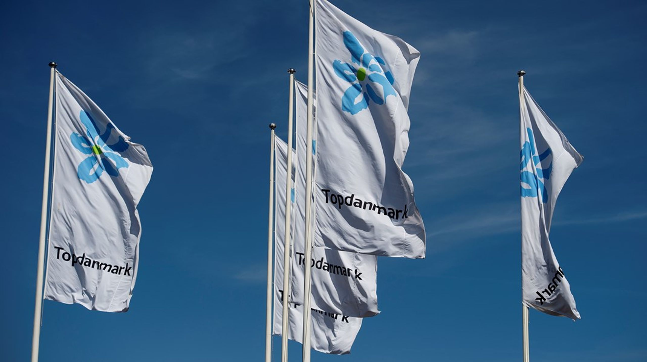 Forsikringsforbundets formand har i Altingets spalter kritiseret forsikringsselskaber som Tryg og Topdanmark for deres brug af såkaldte soloselvstændige.