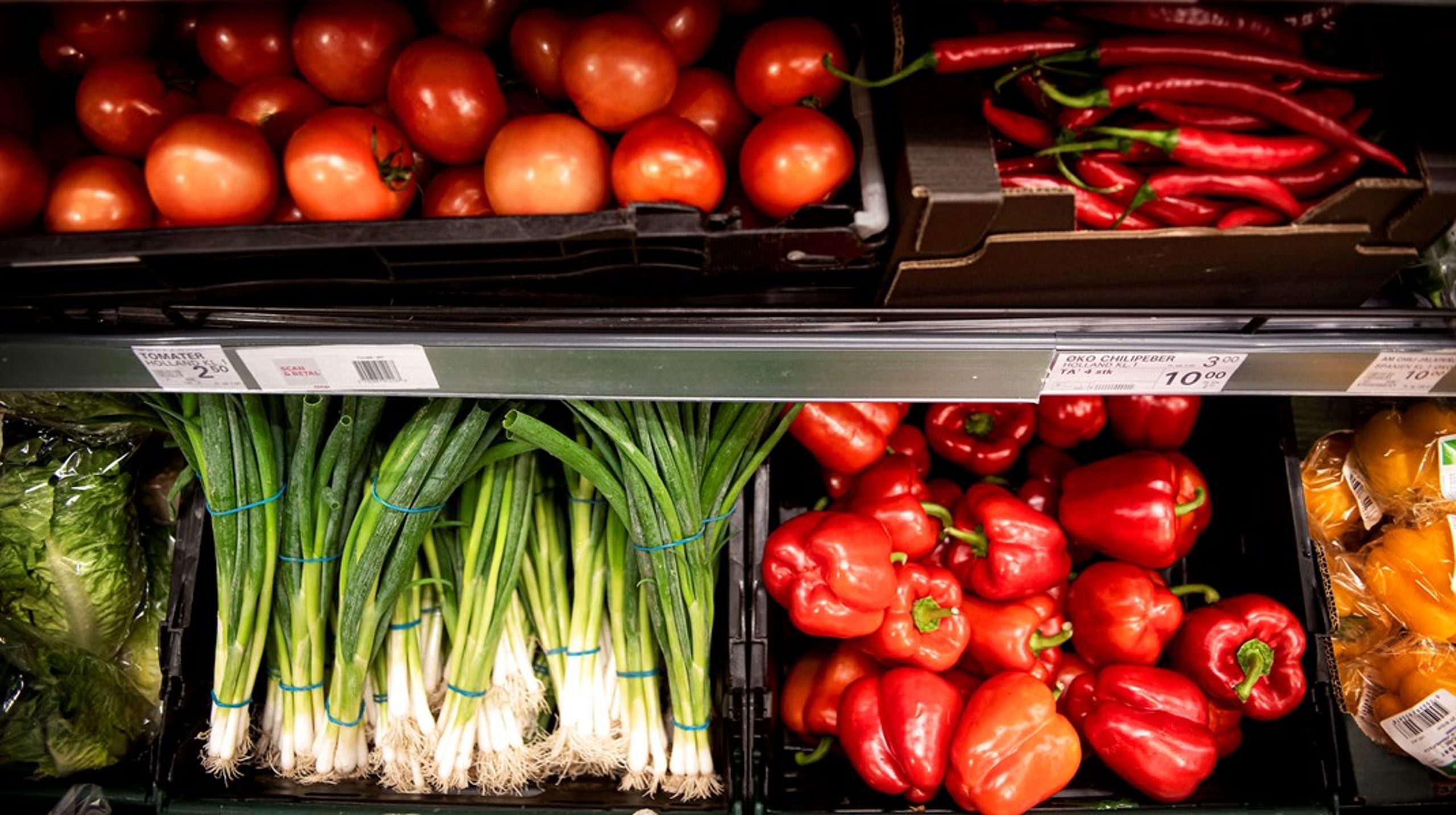 En måde at ændre danskerne kost i en grønnere retning&nbsp;kan være at skabe et klimamærke i stil med mange af de andre gode mærker, vi har i Danmark, skriver Helle&nbsp;Müller Petersen.<br>