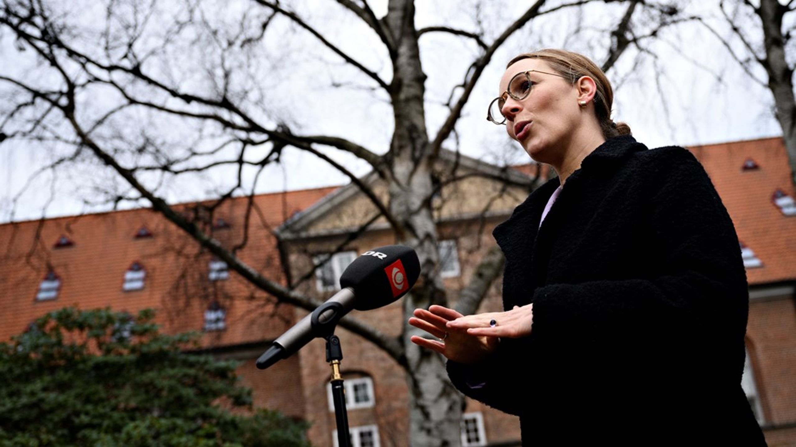 Miljøminister Lea Wermelin (S) bliver interviewet, efter at have&nbsp;præsenteret en naturaftale om biodiversitet i&nbsp;december 2020. Rød blok afsatte 888 millioner kroner til blandt andet urørt skov i perioden 2021-2024. (Foto: Philip Davali/Ritzau Scanpix).