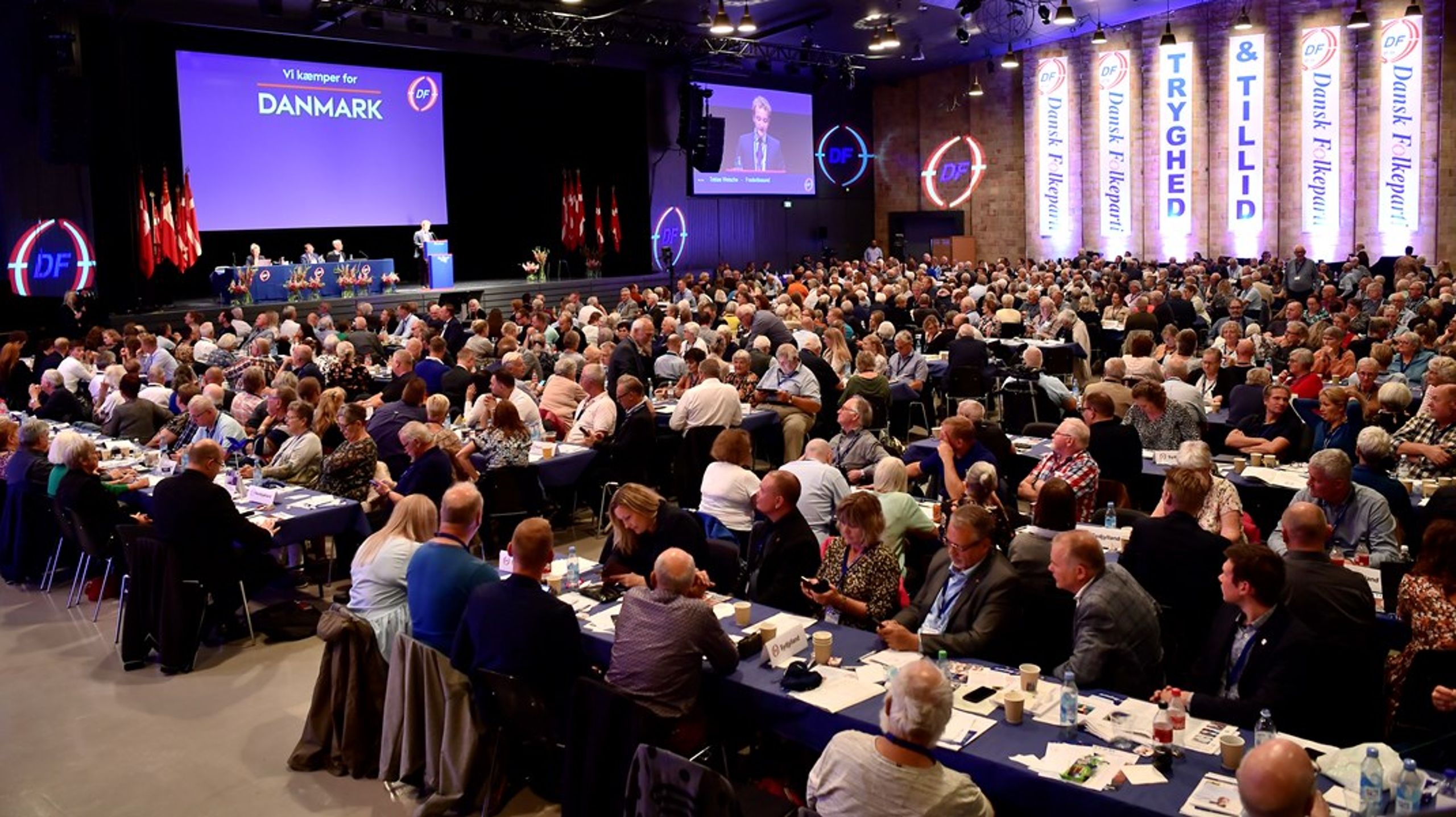 Dansk Folkepartis medlemmer samles søndag for&nbsp;at vælge ny formand. Den nye formand skal stå i spidsen for et parti med et vælgerkorps, som har ændret sig en del på få år. (Arkivfoto).