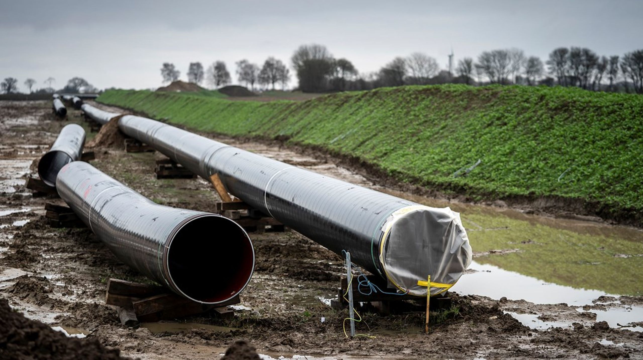 Naturgas vil ligesom atomkraft blive stemplet som grøn energi under visse betingelser. Her ses nedgravningen af&nbsp;gasledningen Baltic Pipe et sted mellem Faxe og Næstved.&nbsp;