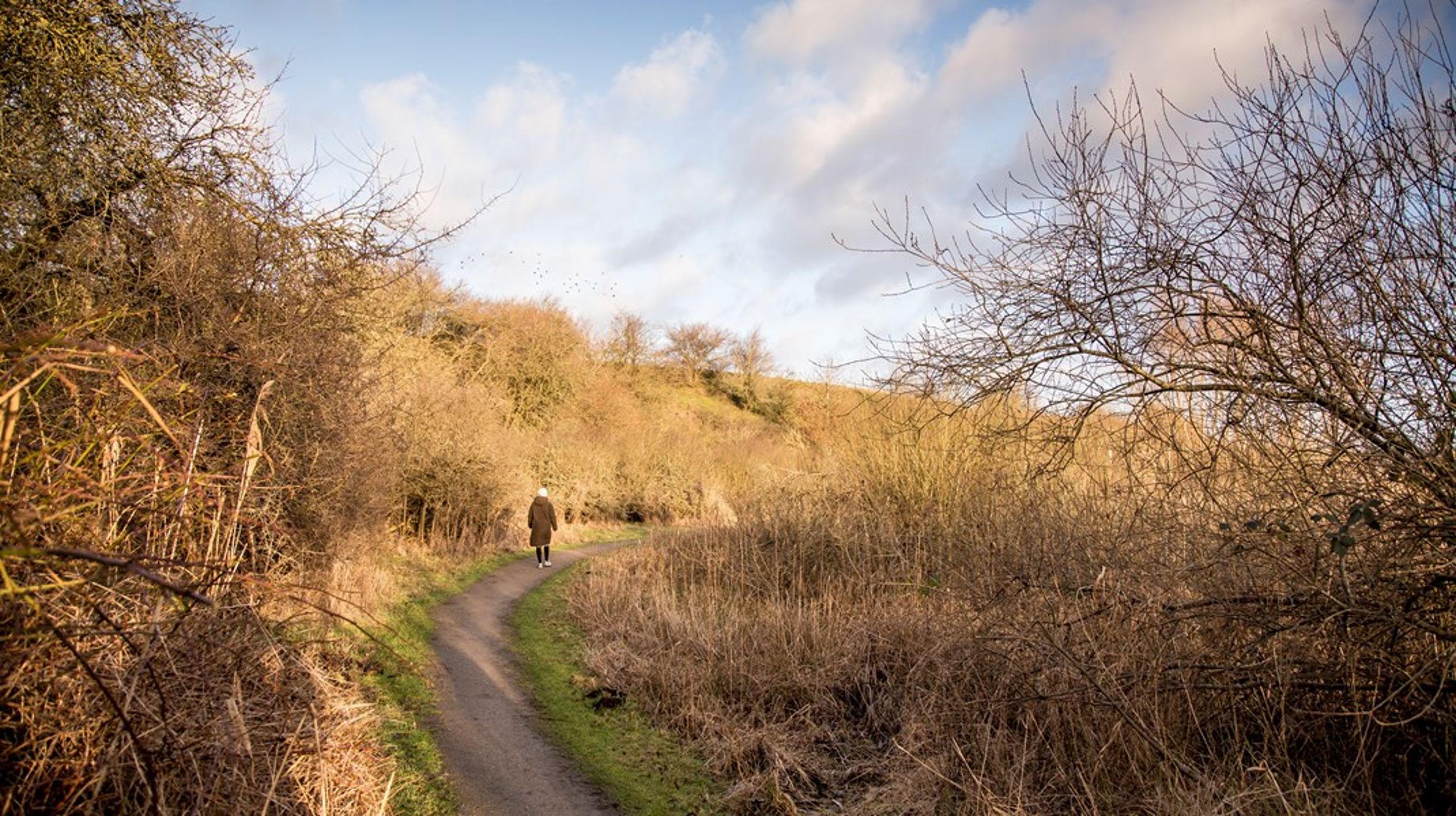Efter pandemien ramte er mange af os kommet tættere på naturen. Vi taler om&nbsp;"vild natur" og biodiversitet, og flere og flere har erfaret på egen krop, at natur og biodiversitet er noget at kæmpe for og værdsætte, skriver Steen Gade. Arkivfoto.