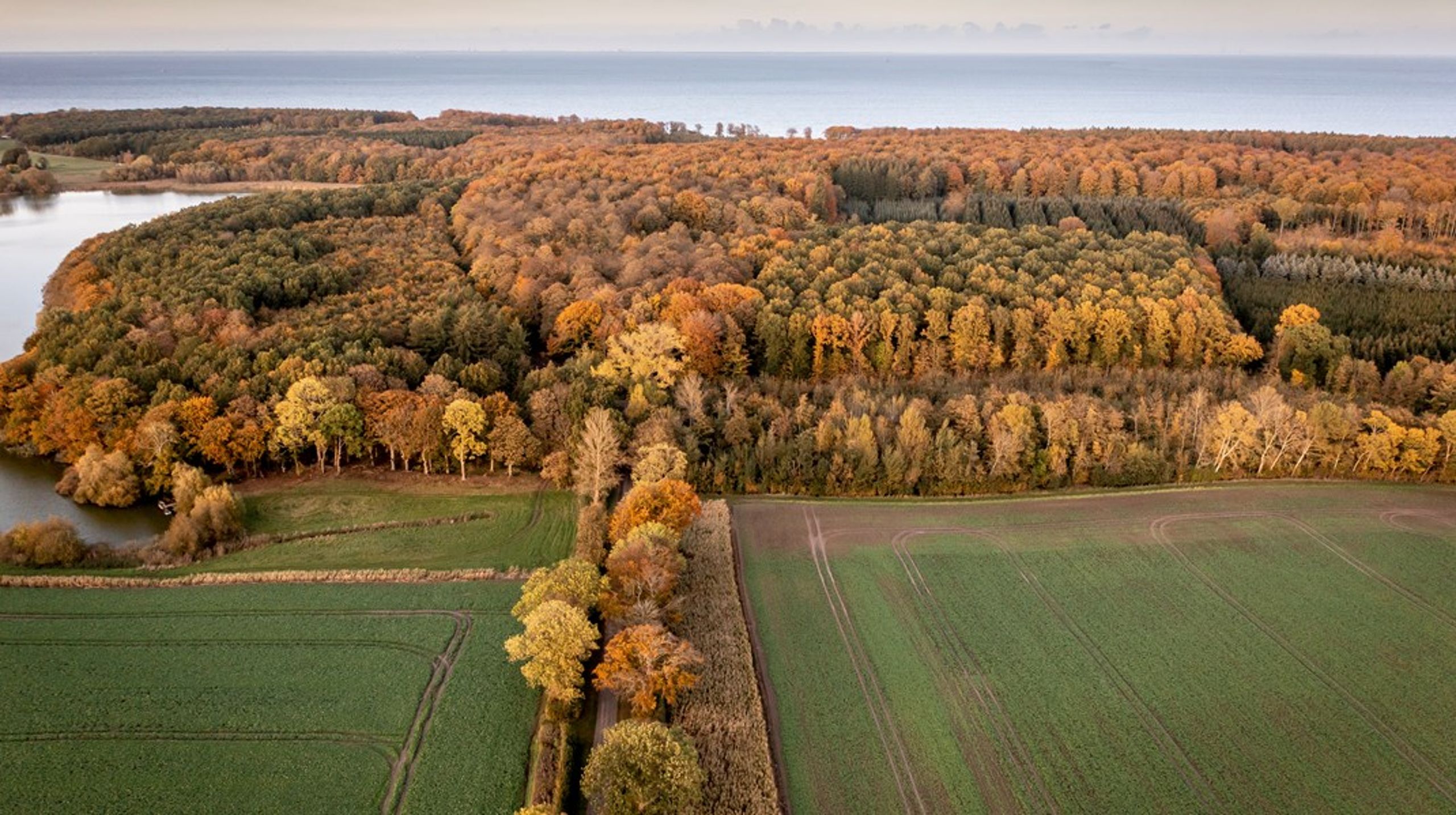 Alle de landmænd, der har lyttet til samfundets ønsker om mere natur og allerede helt frivilligt har anlagt småskove, læhegn, søer og andre naturtiltag, får absolut&nbsp;ingen anerkendelse for at gøre det, skriver Henrik Bertelsen.