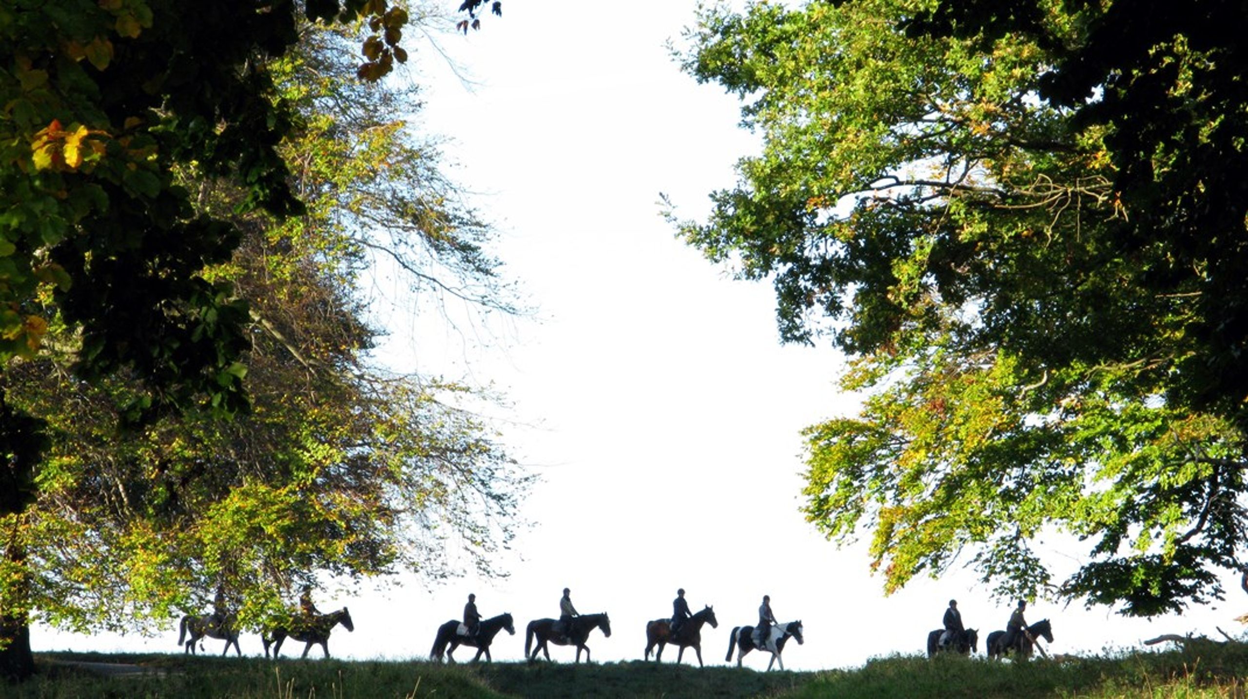 Den lokale accept, et bredt engagement og en reel inddragelse af flest mulige lokale brugergrupper vil være en væsentlig forudsætning for de kommende naturnationalparker, skriver&nbsp;Morten Schram Rodtwitt og Kristiane Klindt.