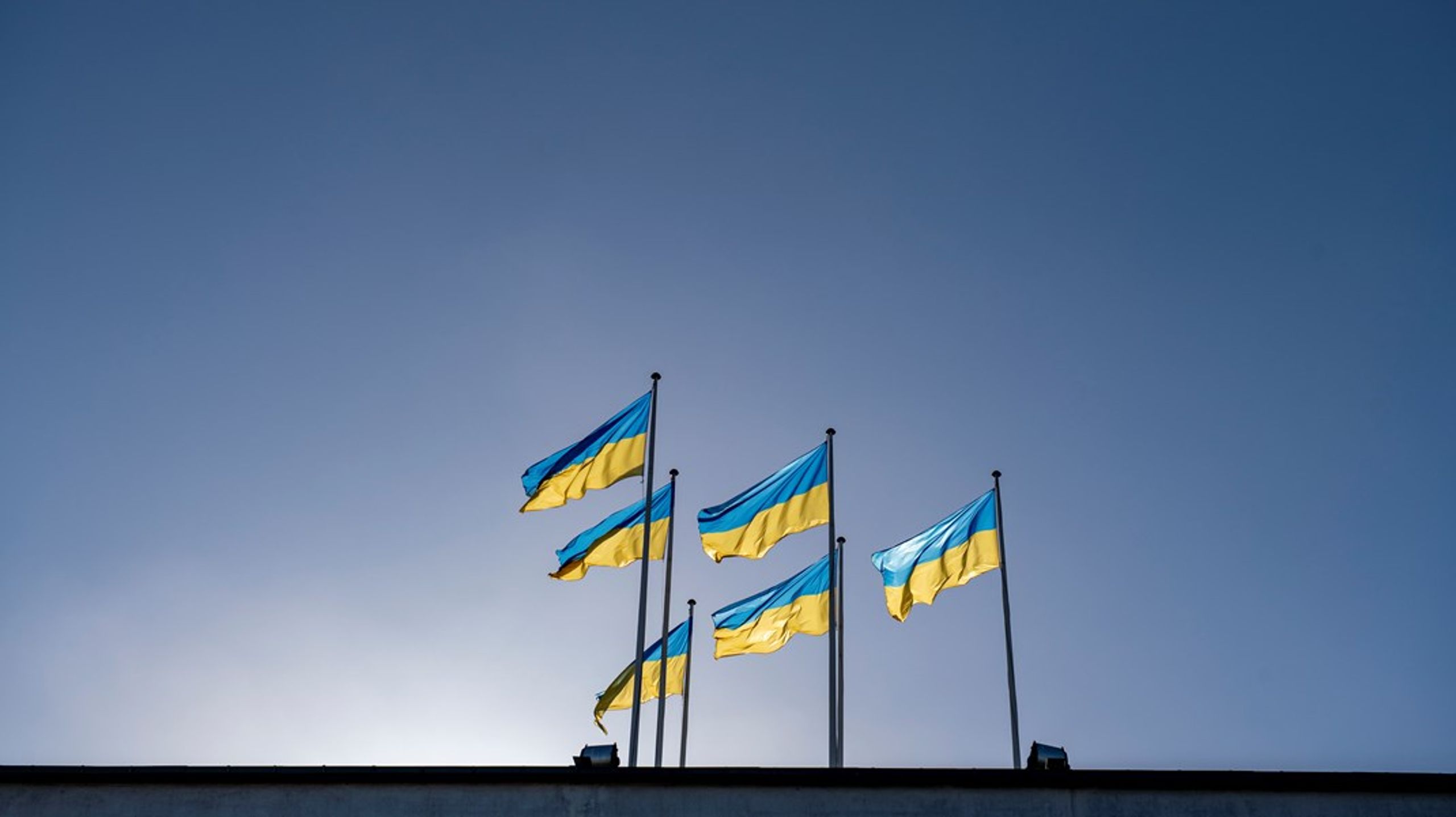 Den ukrainske præsident, Volodimir Zelenskij, taler til Folketingets medlemmer tirsdag.