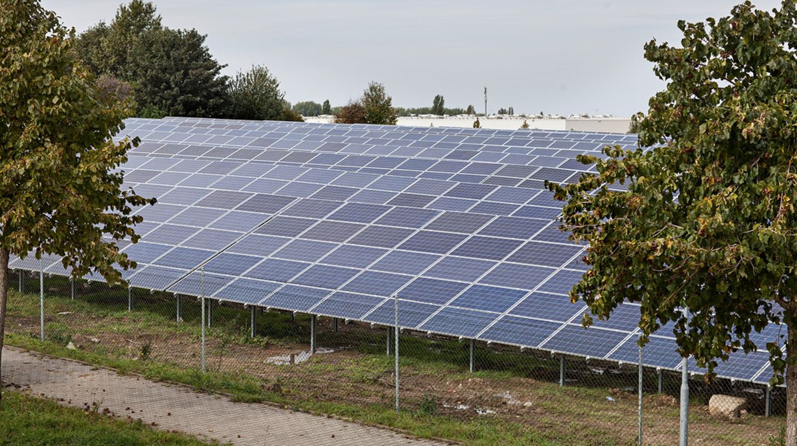 Der er behov for at sætte fuld fart på godkendelsesprocedurerne ved etablering af solcelleanlæg,&nbsp;skriver&nbsp;Troels Blicher Danielsen.