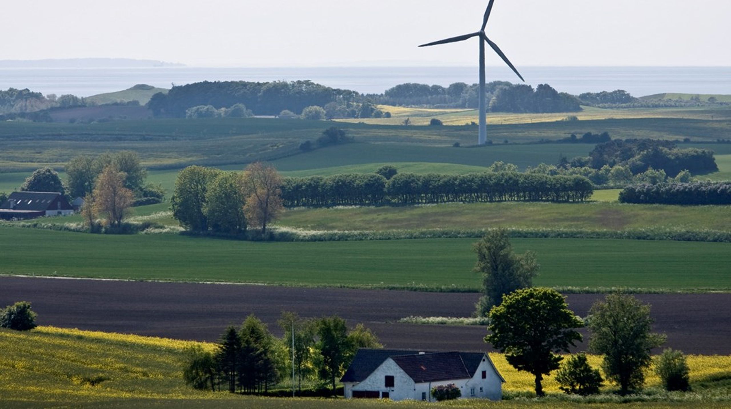 Samsø har et grønt image, men det varer ikke ved, hvis man ikke gør noget. Det mener medlem af klimaborgertinget Susanne Vilhelmsen - hun bor på Samsø og tror måske ikke helt, at borgertinget kan påvirke national politik, men hun er blevet så meget klogere af deltagelsen, at hun håber på at kunne påvirke lokalt. <i>Arkivfoto</i>