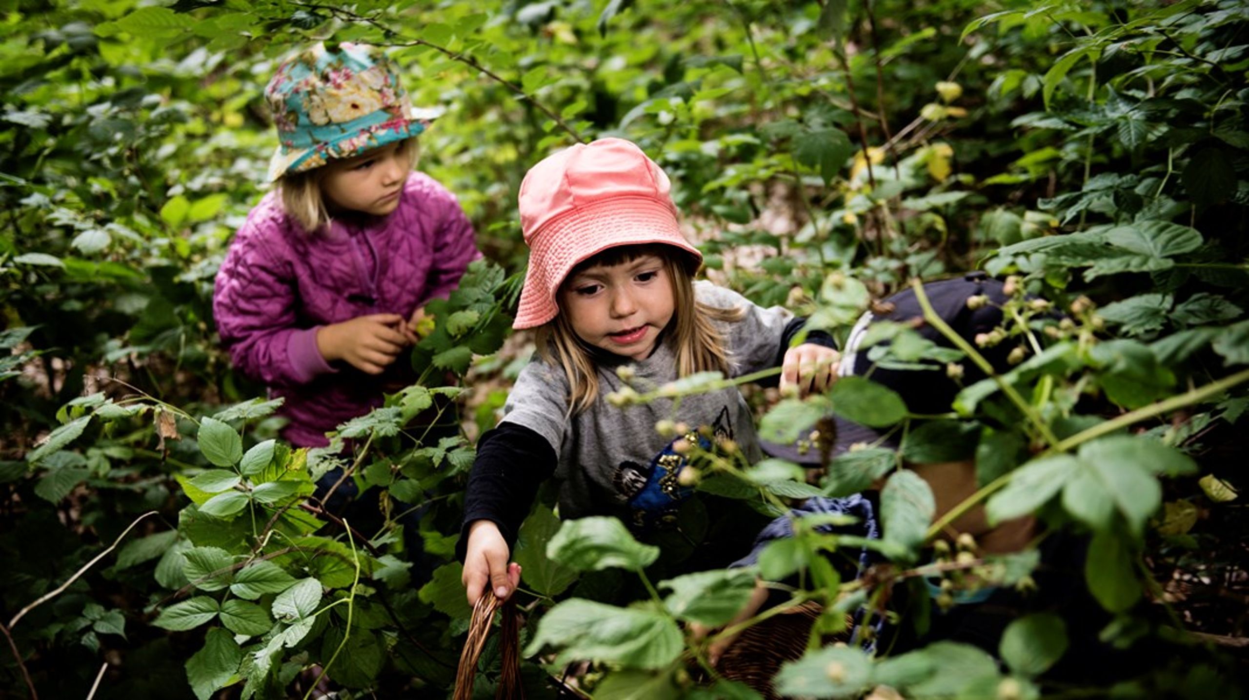 Vi skal inddrage natur- og friluftsaktiviteter endnu mere i fritidstilbud, skriver Annesofie Bjerre.&nbsp;