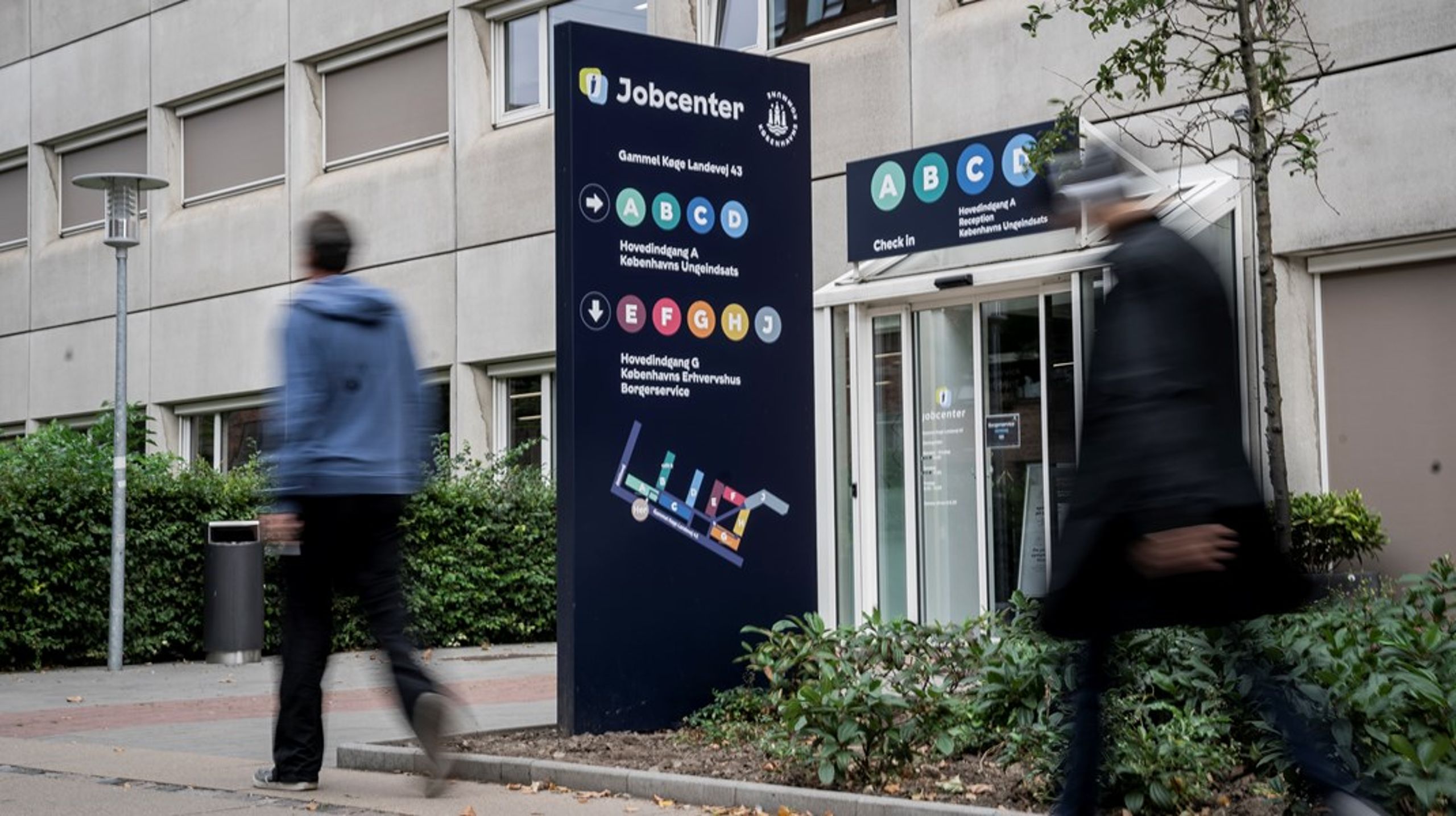 Det har ikke&nbsp;skortet på gruopvækkende fortællinger om jobcentrene i offentligheden. Den seneste uge alene har området kastet to separate rædselshistorier af sig i medierne, skriver Johanne Dalgaard.