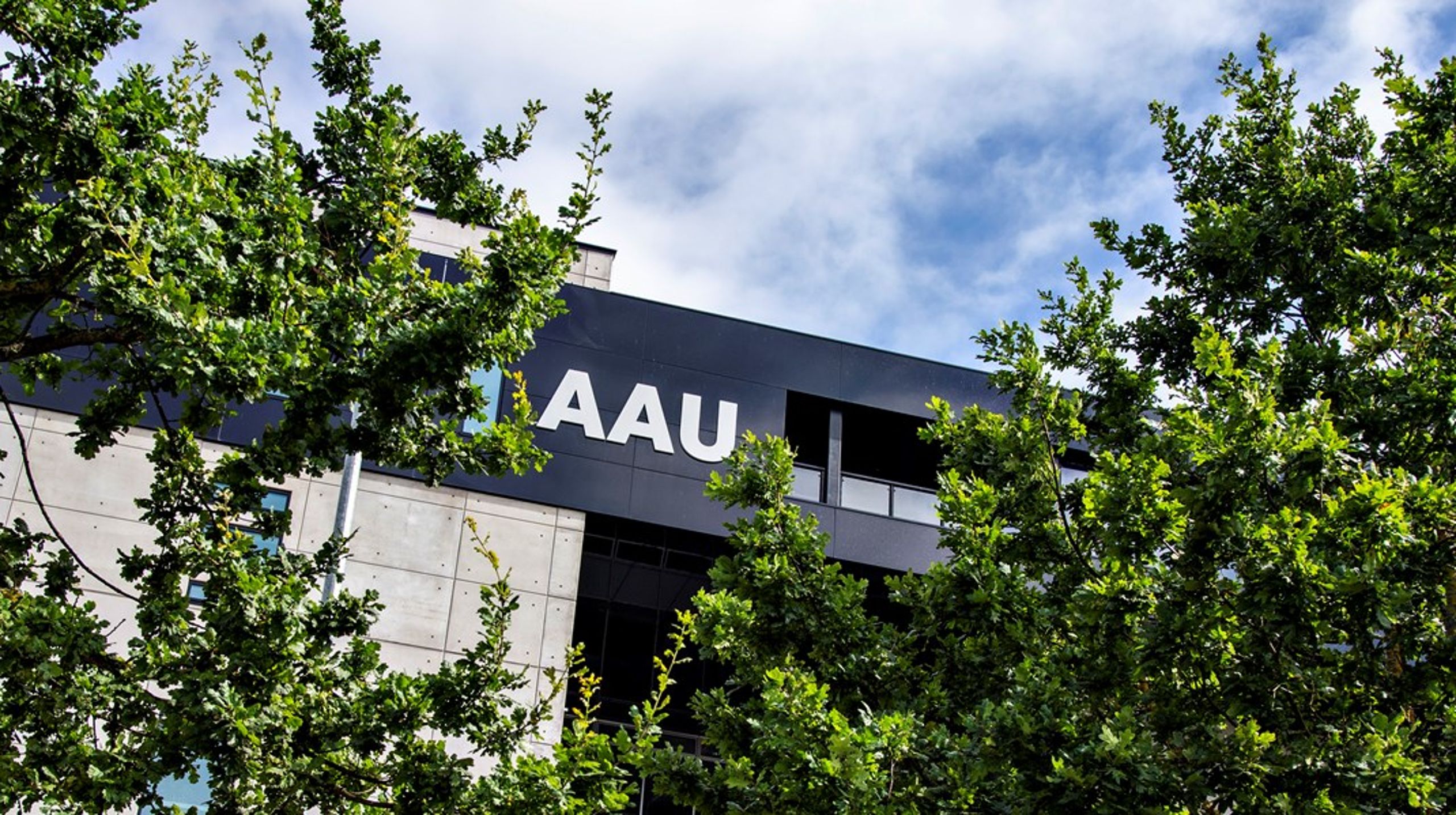 Aalborg Universitet skal finde en ny innovationsdirektør.&nbsp;