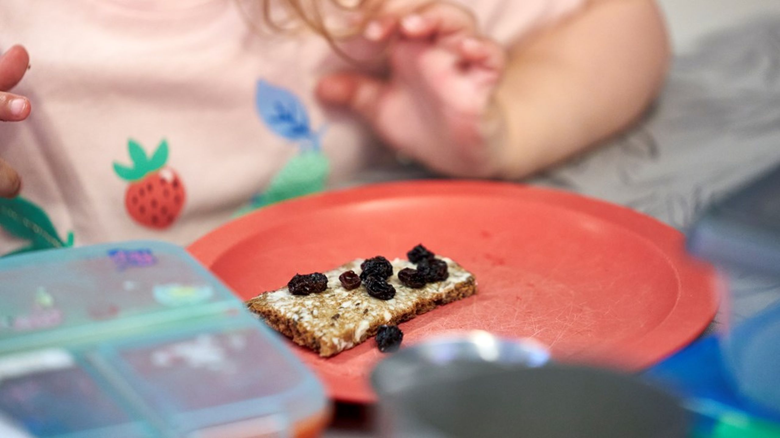 Kommuner køber hundredevis af ting – eksempelvis tallerkener til vuggestuer – der hver især har et CO2-aftryk. Derfor kan bæredygtige indkøb være en del af løsningen på klimakrisen.&nbsp;