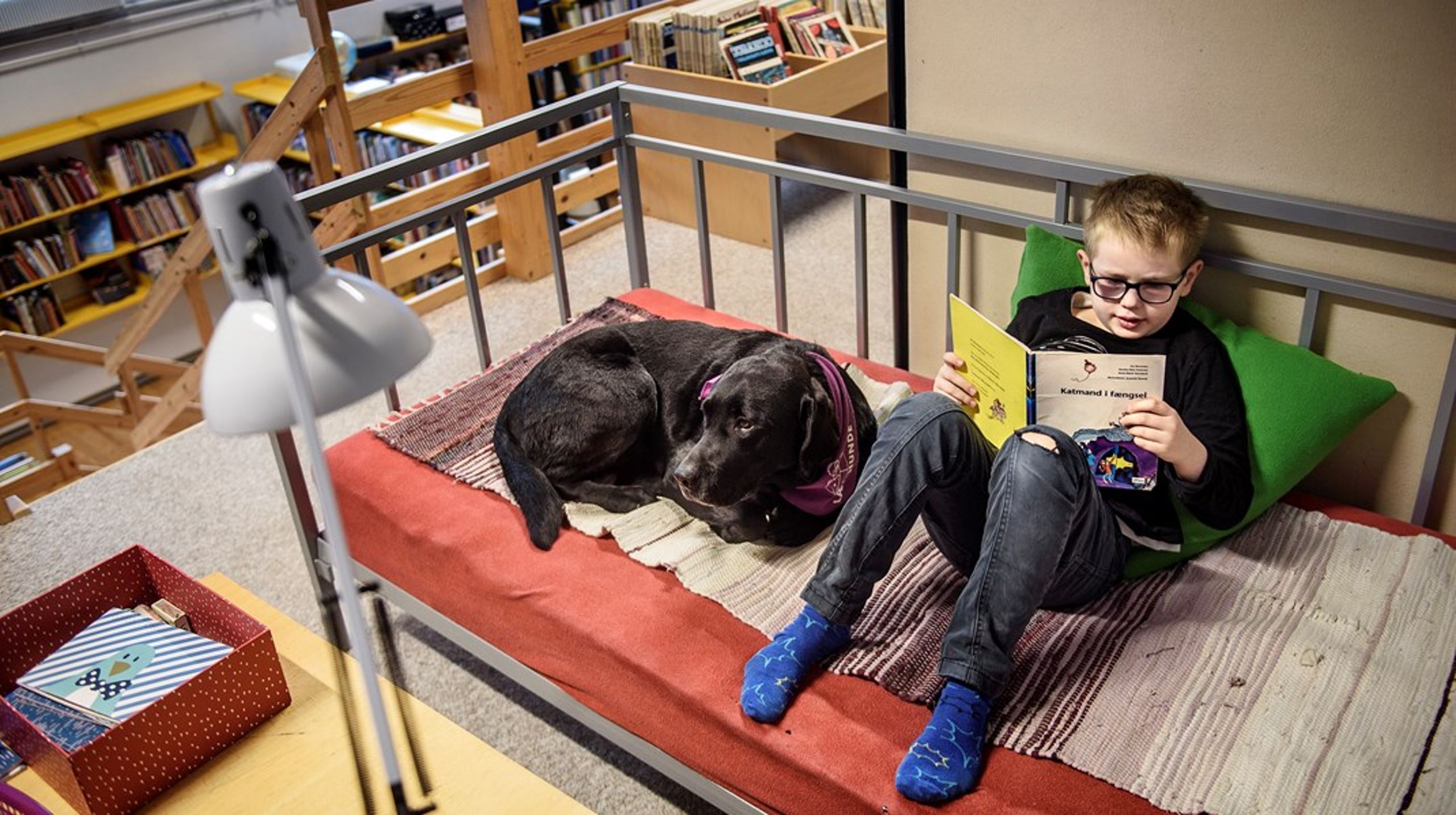 Læsehunde og Forældrenes Børneklub er blevet optaget i&nbsp;Fonden for Socialt Ansvar.&nbsp;Læsehunde ønsker&nbsp;at
øge læselyst hos børn med læseudfordringer ved at give dem mulighed
for at træne højtlæsning med en hund.