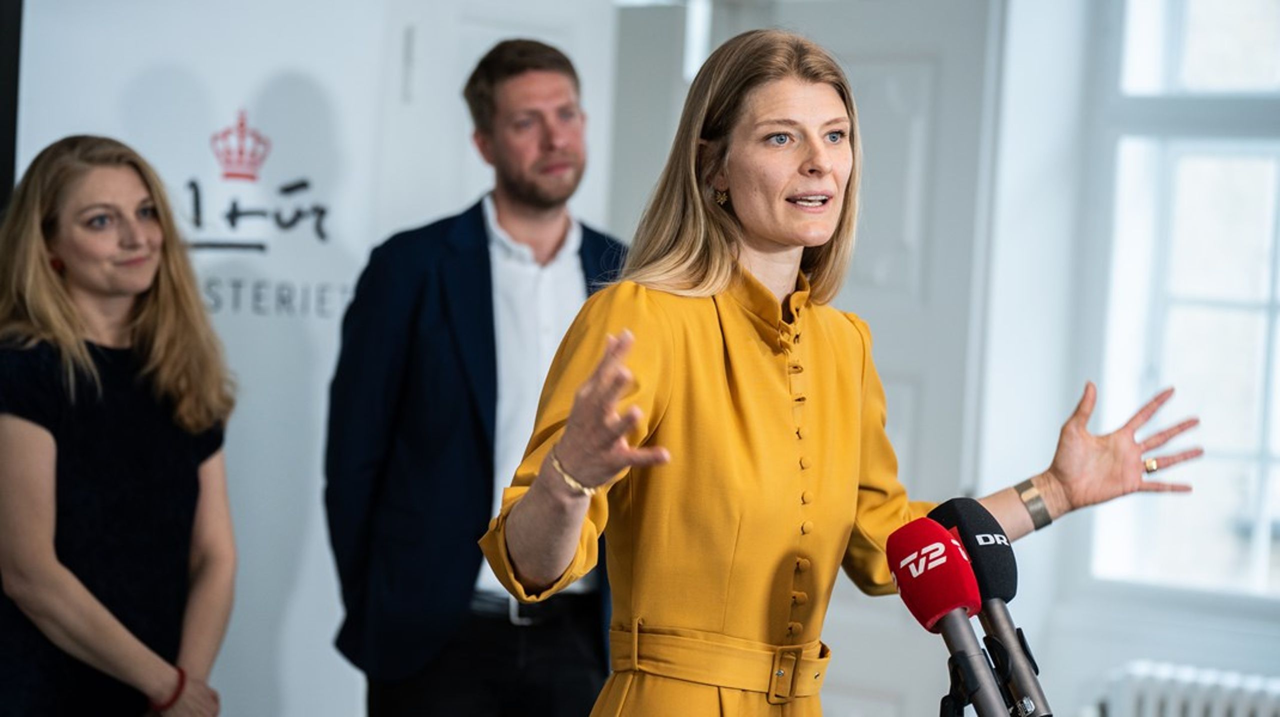 Ane Halsbo Jørgensen skal&nbsp;sætte gang i en grundig analyse&nbsp;af museernes samlede opgavevaretagelse, så tilskudsfordelingen bliver mere fair. Ellers&nbsp;risikerer man at ende i en situation, der er lige så hovedløs, som den man har i dag, skriver&nbsp;Claus K. Jensen.