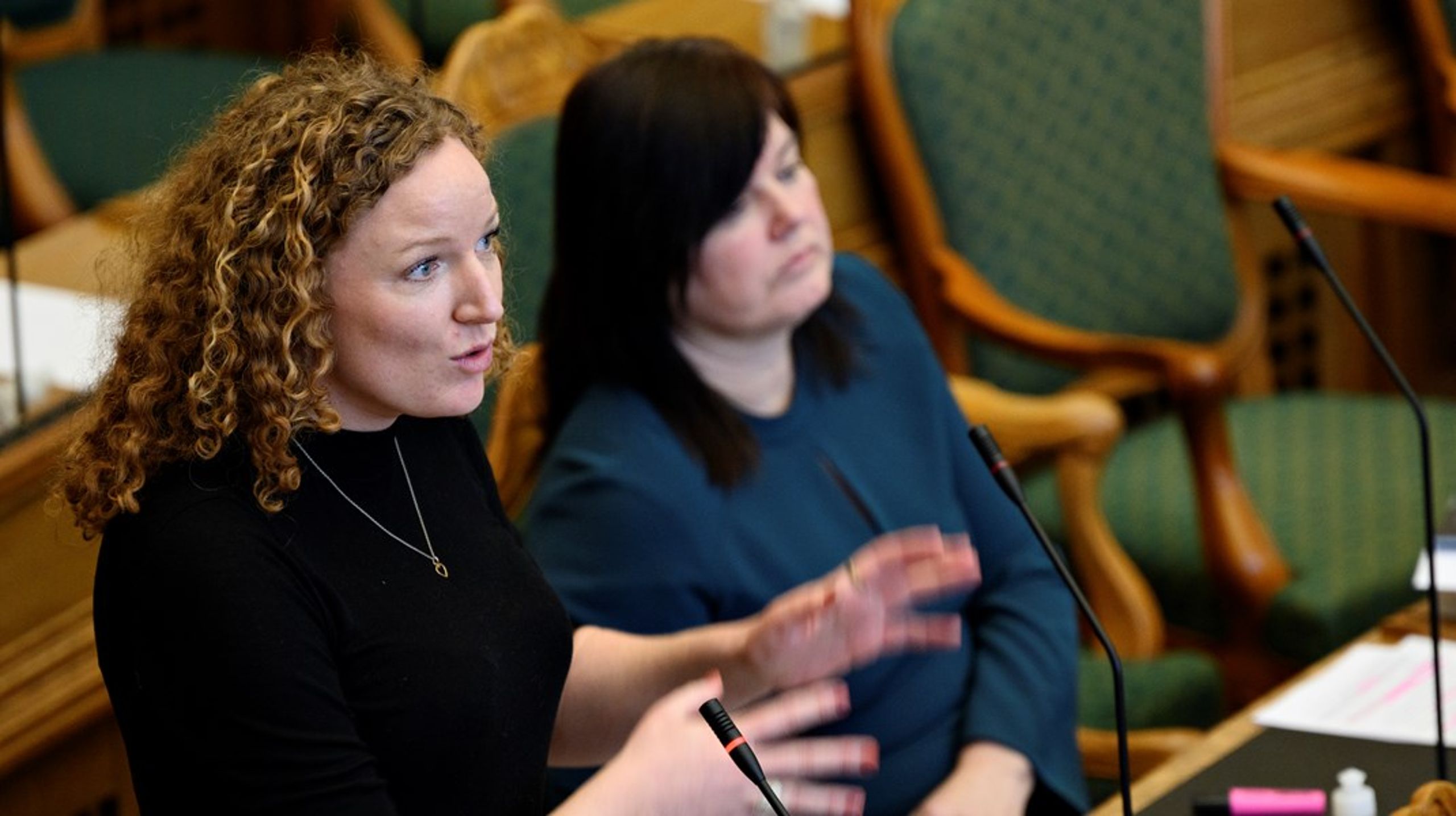 "Selv hvis vi skaber flere fængselspladser, har vi ikke nok hænder til at bemande dem," siger retsordfører Karina Lorentzen&nbsp;Dehnhardt (SF).
