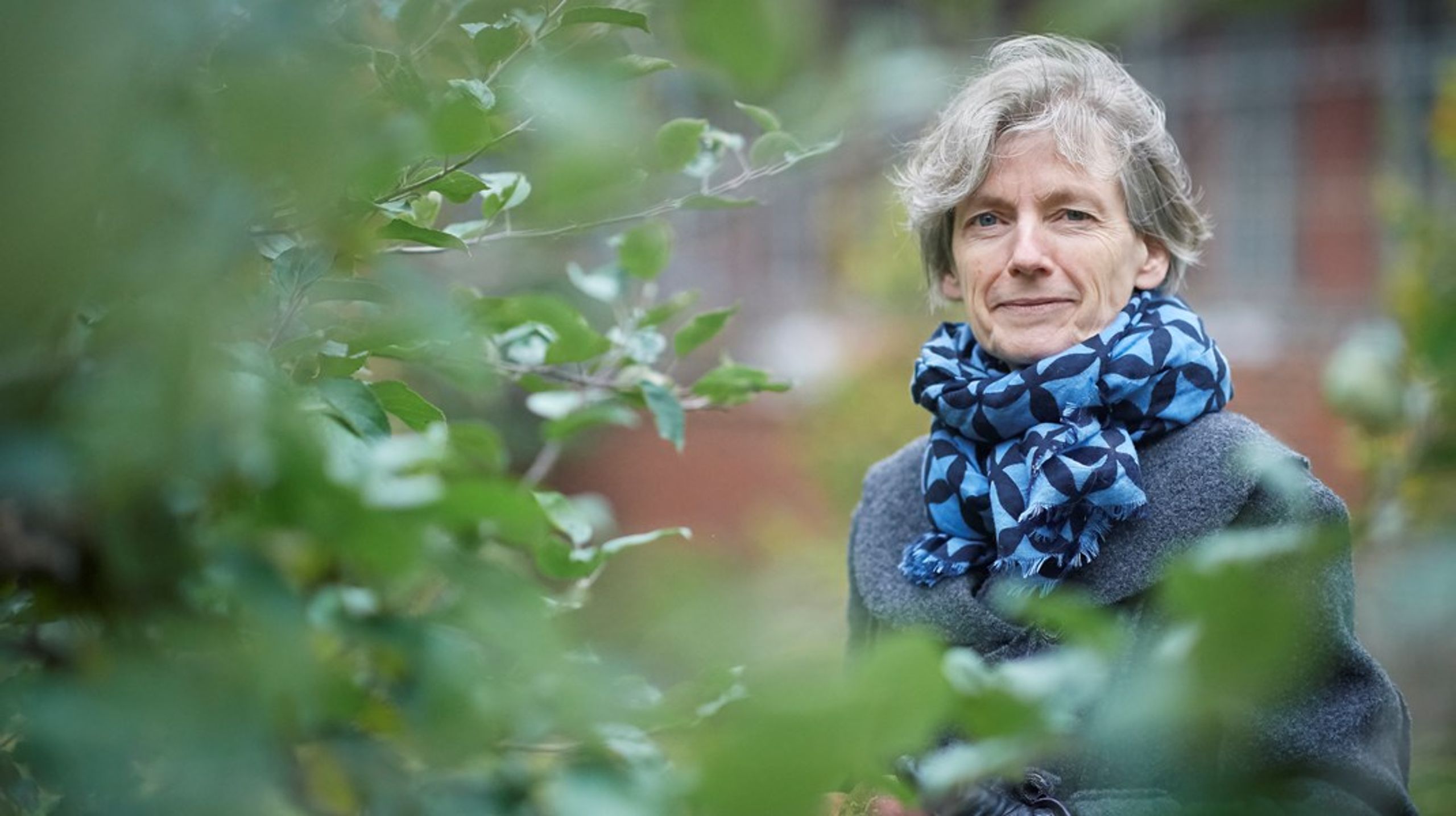 Tine Lindhardt har anmodet Dronnigen om at måtte fratræde sin stilling som biskop flere år&nbsp;inden pensionen og efter 10 år&nbsp;i embedet. Nu er valget af hendes efterfølger skudt i gang.&nbsp;