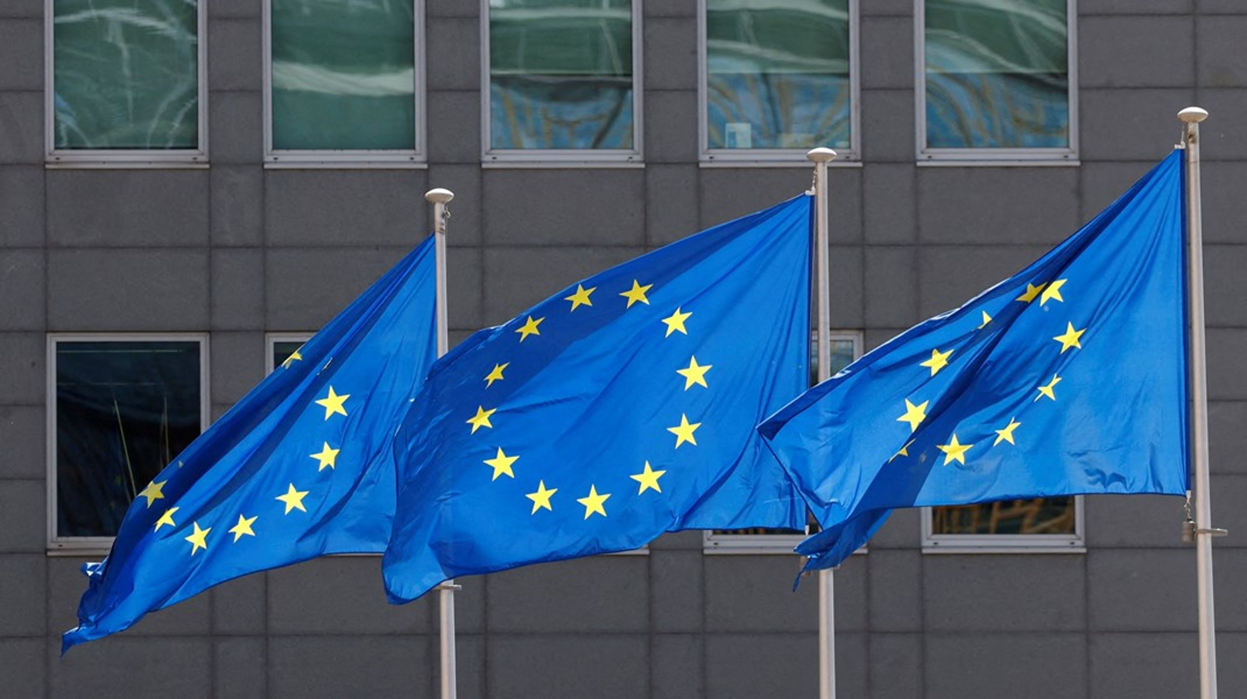 Man bliver ikke ligefrem populær i Bruxelles ved at anlægge sager ved EU-domstolen. Det kan koste indflydelse på andre politiske områder, skriver&nbsp;Johan Moesgaard Andersen.