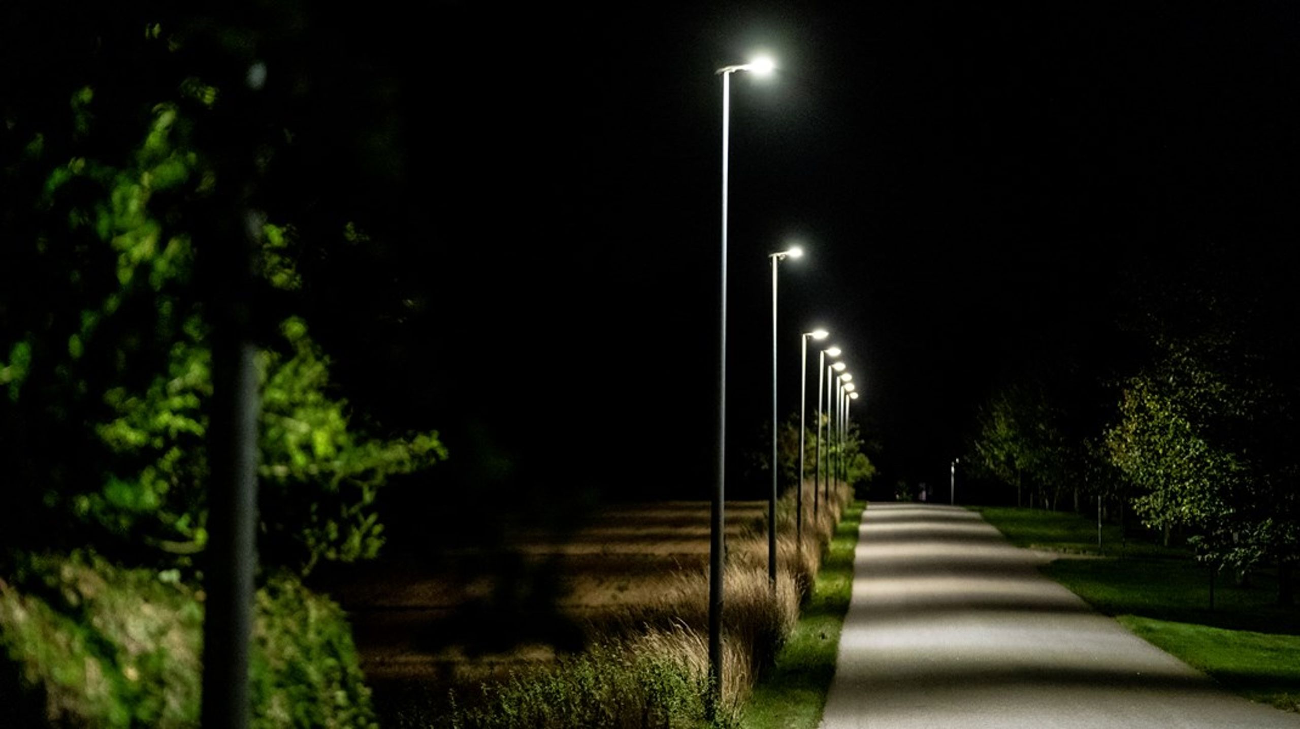 Ultimativt er der kun én
måde Danmark og resten af Europa kan komme fornuftigt igennem vinteren - og det
er ved at spare på energien, skriver&nbsp;Rasmus Lindø Kaslund og&nbsp;Michael H. Nielsen.