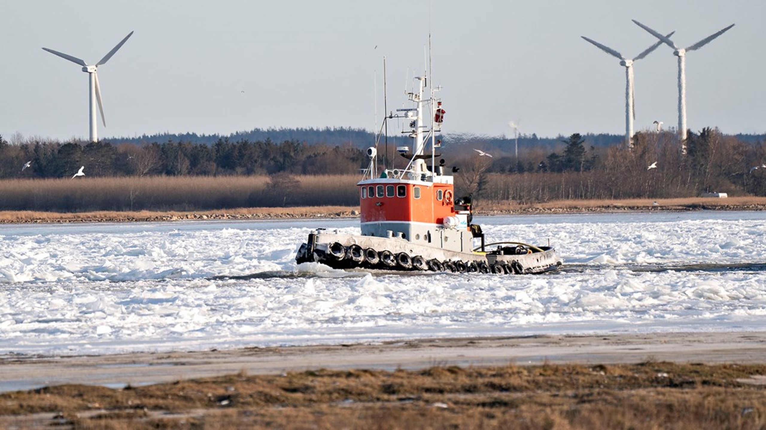 En kold og vindstille vinter kan godt blive dyr, når russerne har lukket for gassen til Europa.&nbsp;Men lige nu er de værste skrækscenarier for skyhøje energipriser til vinter afblæst.&nbsp;
