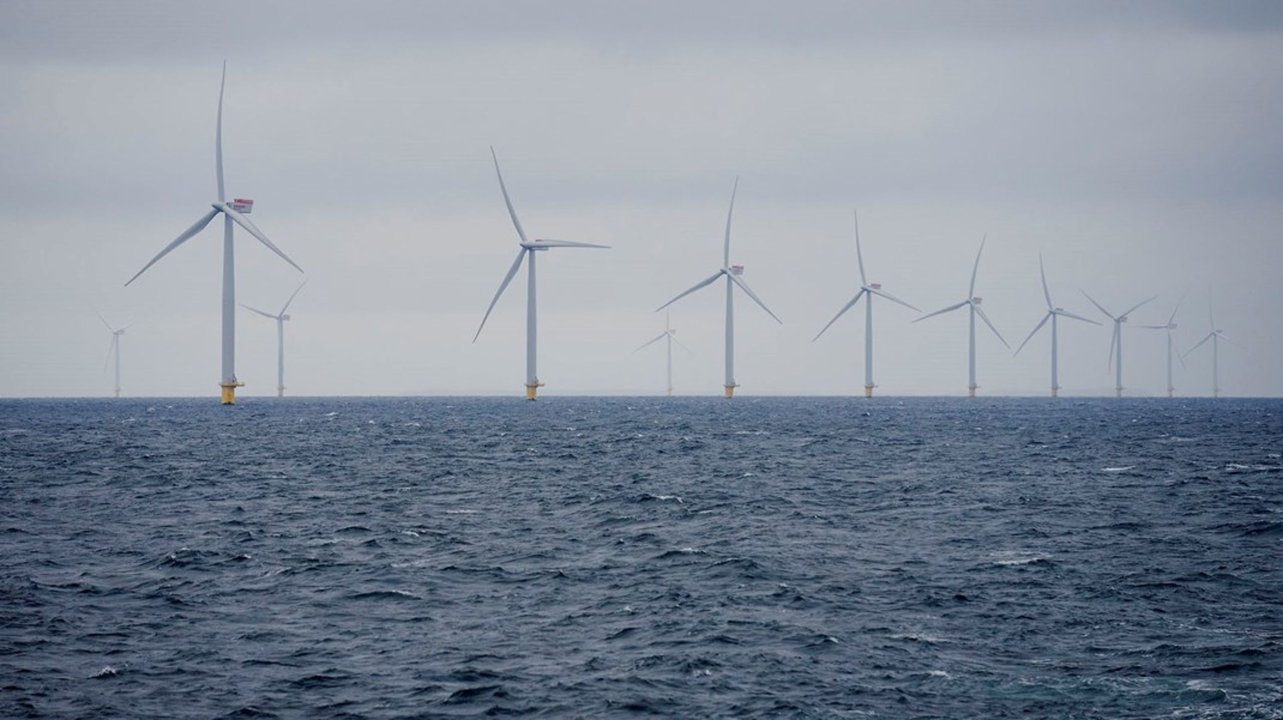Havvindmøller er tidligere blevet droppet af hensyn til fugle. Nu skal 30 procent af havet helt friholdes fra ideer om vindmøller og energiøer af hensyn til biodiversitet og naturlig havbund, hvis det står til nyt ekspertråd.&nbsp;