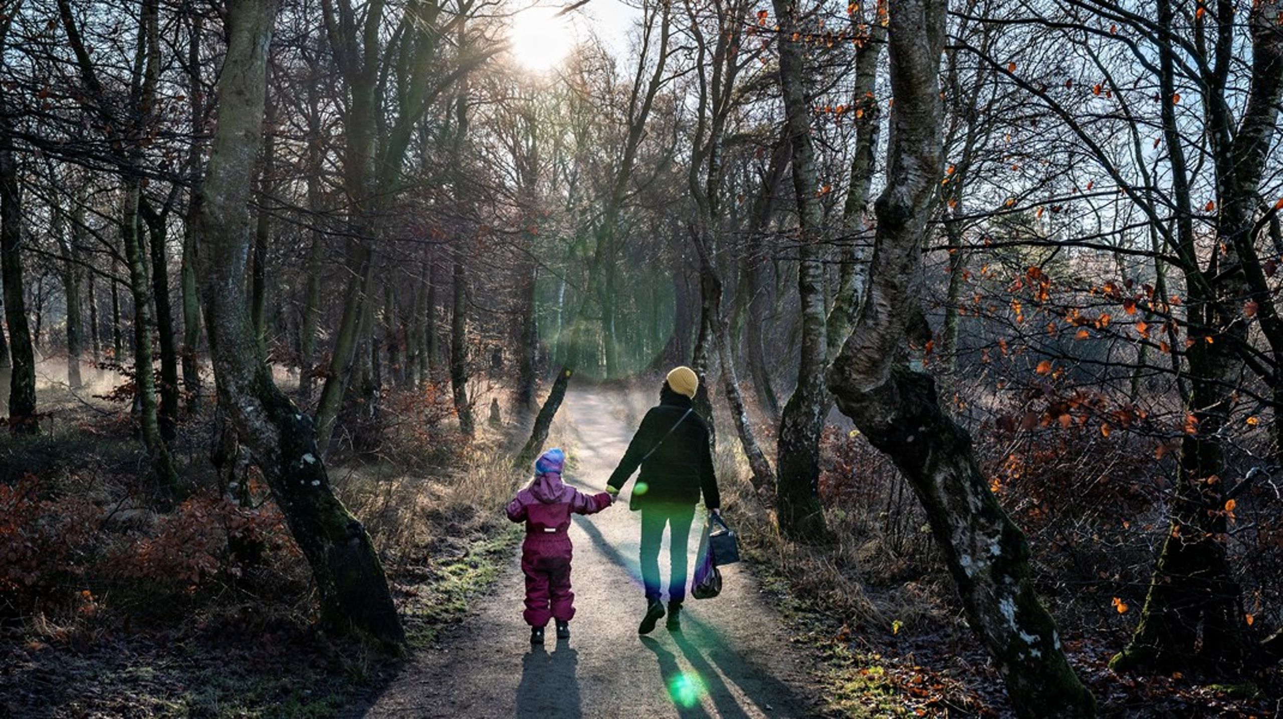 En prioritering af natur- og friluftsliv baner både vejen for bedre trivsel, bedre biodiversitet og bedre civilsamfundsliv, skriver direktør Winni Grosbøll. Arkivfoto.