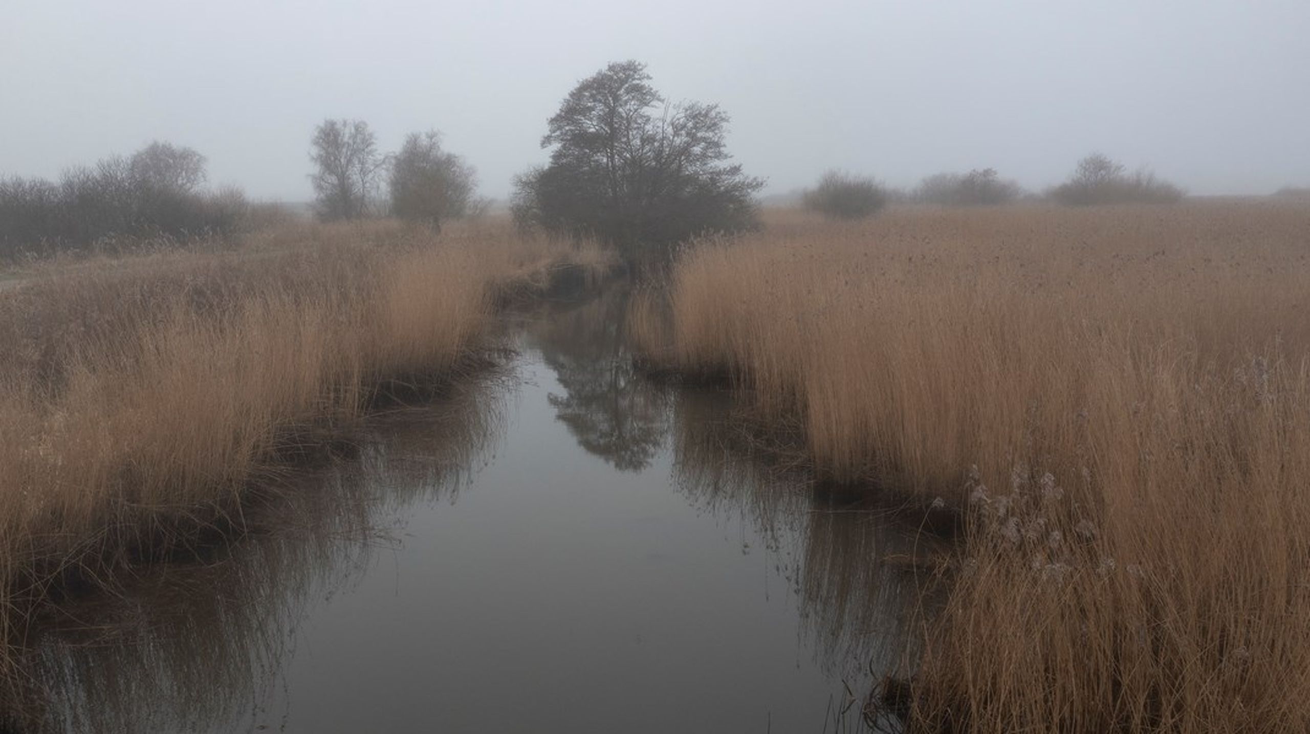 PFAS-debatten er blevet for unuanceret, for det er ikke alle PFAS-stoffer, der er lige skadelige, skriver Allan Holm Nielsen.&nbsp;