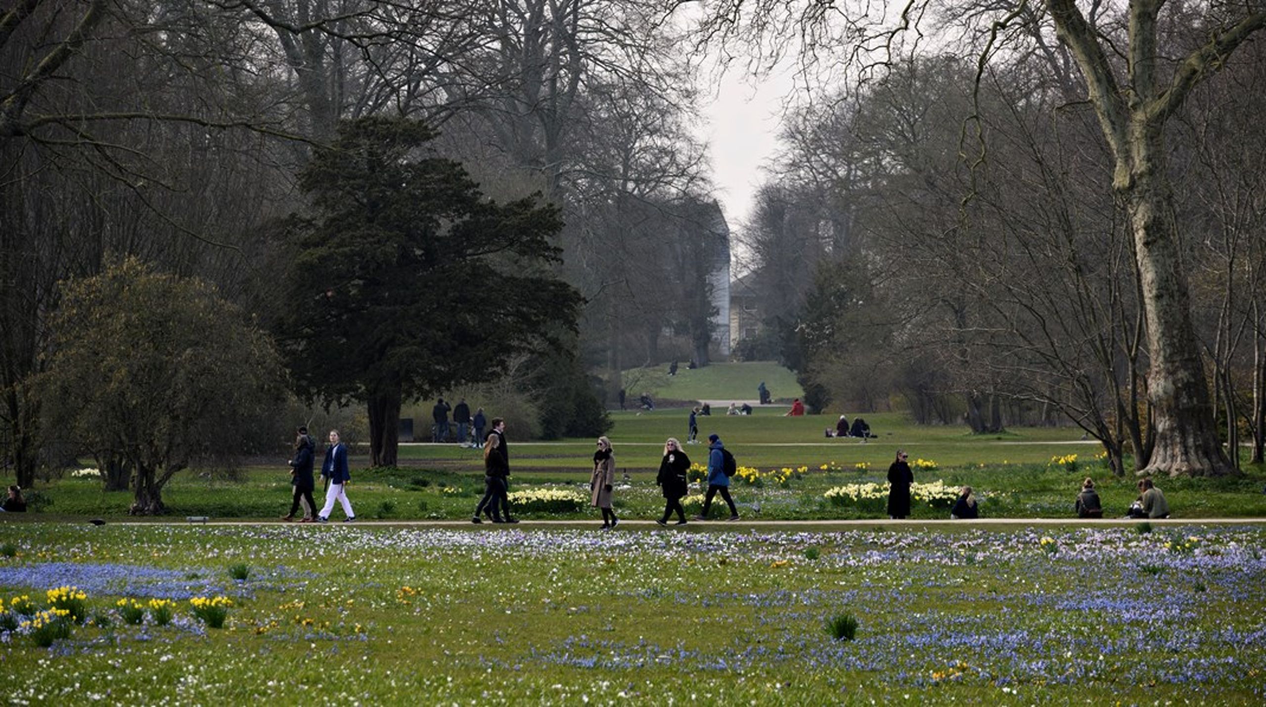 Frederiksberg er Nordeuropas tættest bebyggede kommune.&nbsp;Min frygt er, at denne sandhed vil lede frem til, at man vil bygge i vildskab for at finansiere flere almennyttige boliger, og at prisen bliver færre grønne områder, skriver Anders Storgaard (K).