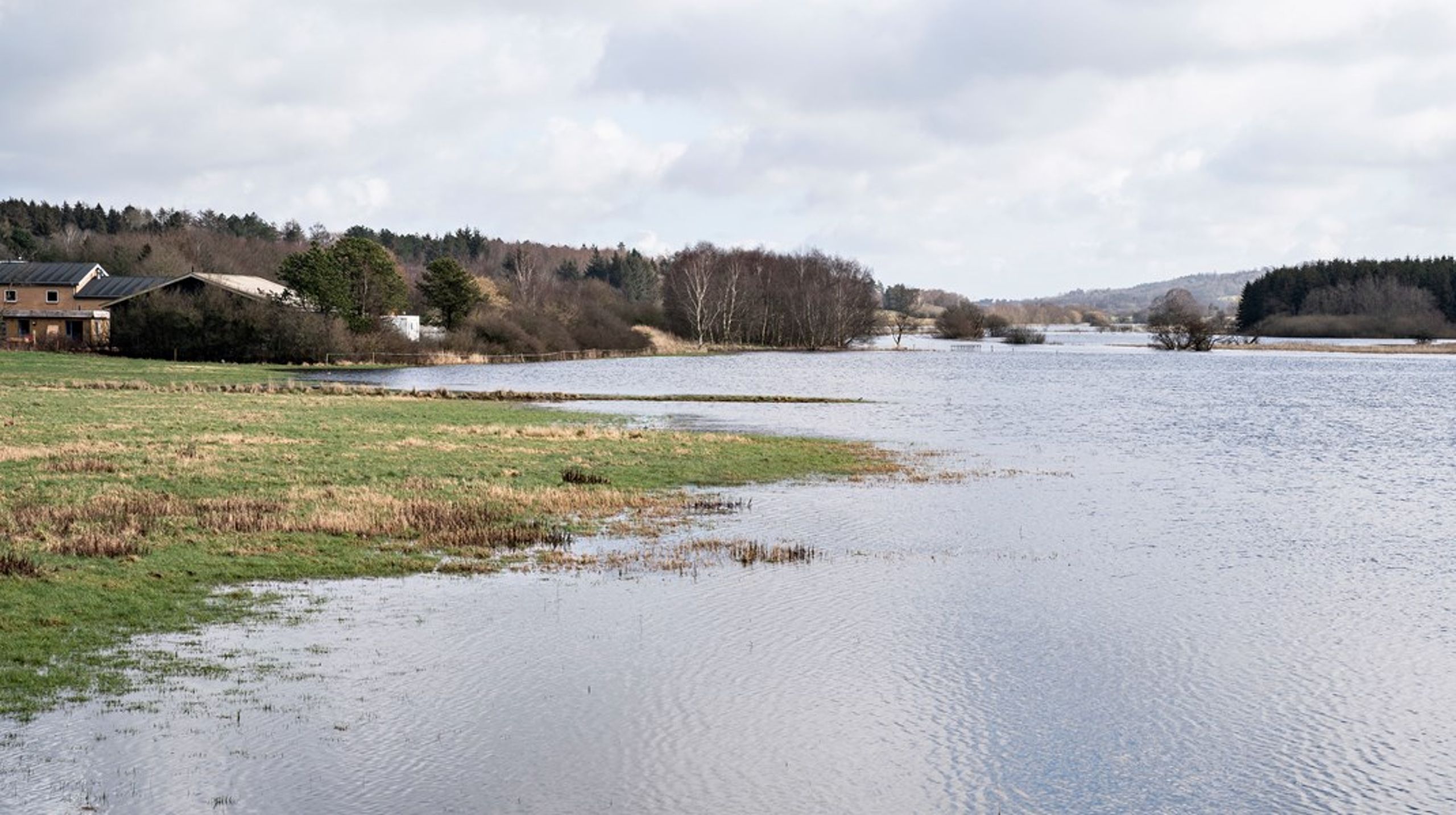Vi bør følge Irlands eksempel og oprette et biodiversitetsborgerting som en del af den kommende naturlov, skriver Glenn Bech og Frej Pries Schmedes.&nbsp;