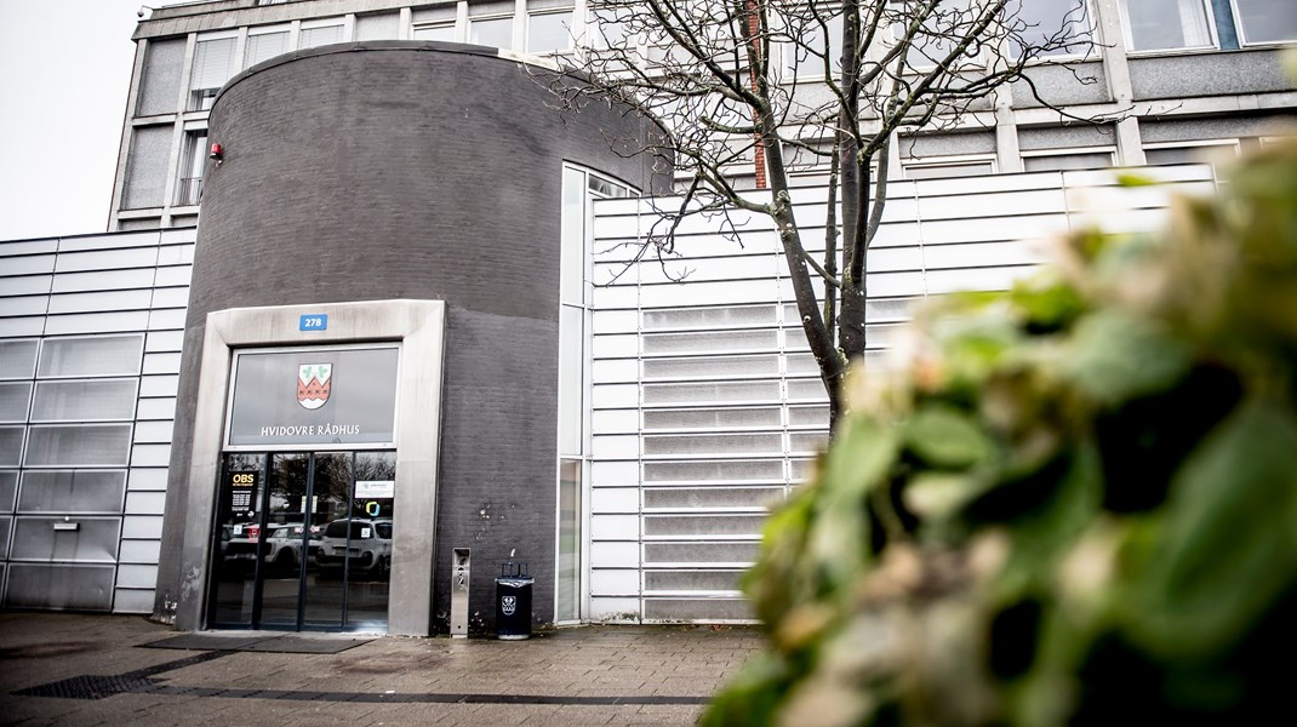 Hvidovre Kommune har ansat ny direktør for børne- og velfærdsområdet fra juni 2023.