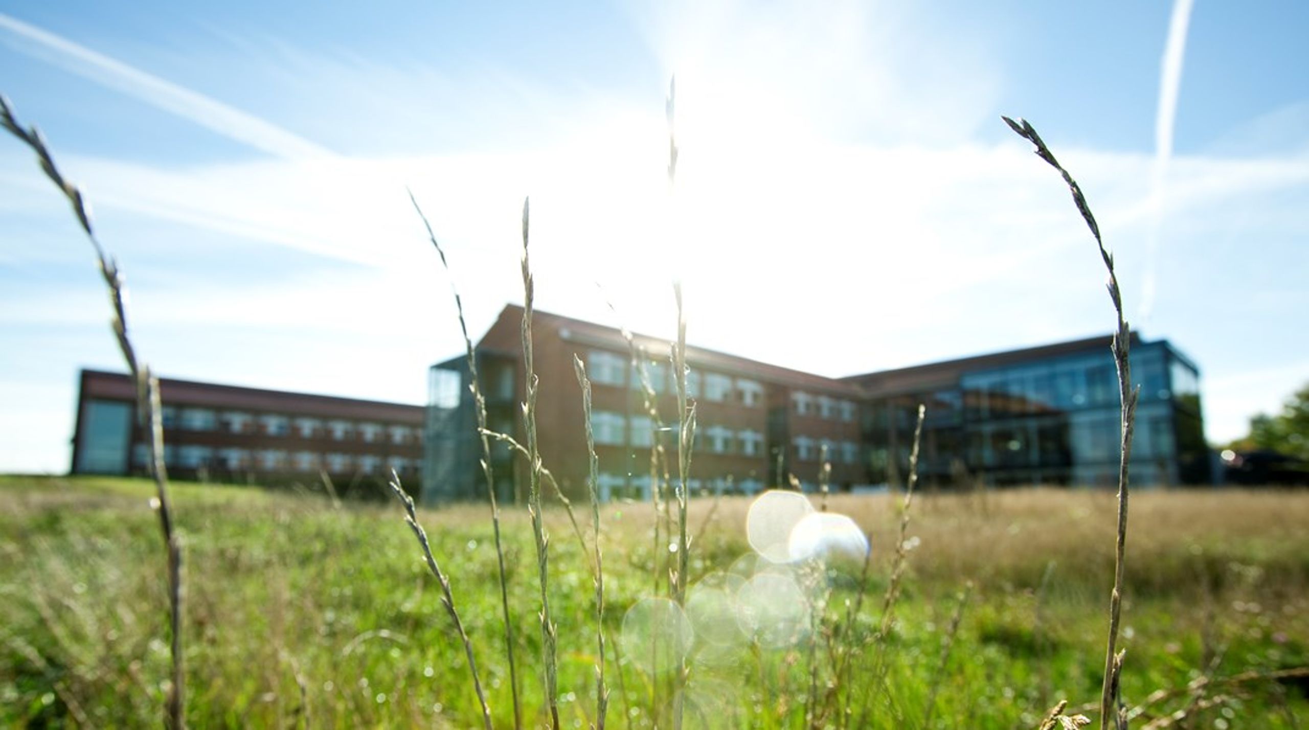 Seges Innovations lokation i Agro Food Park.&nbsp;