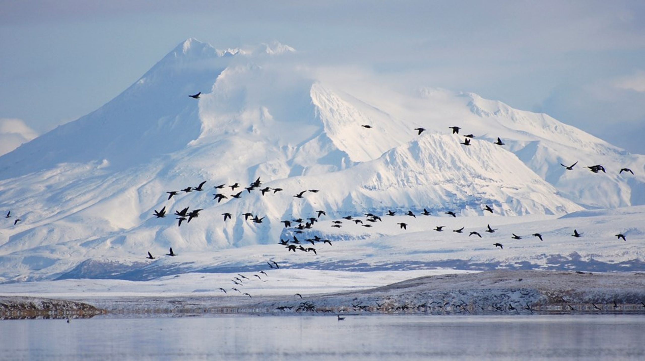 Paul Fuhs, tidligere borgmester i Unalaska,&nbsp;er rasende over, at et livsvigtigt og velfungerende samarbejde er blevet offer for geopolitiske stridigheder 8.500 kilometer fra dette skrøbelige hjørne af verden.