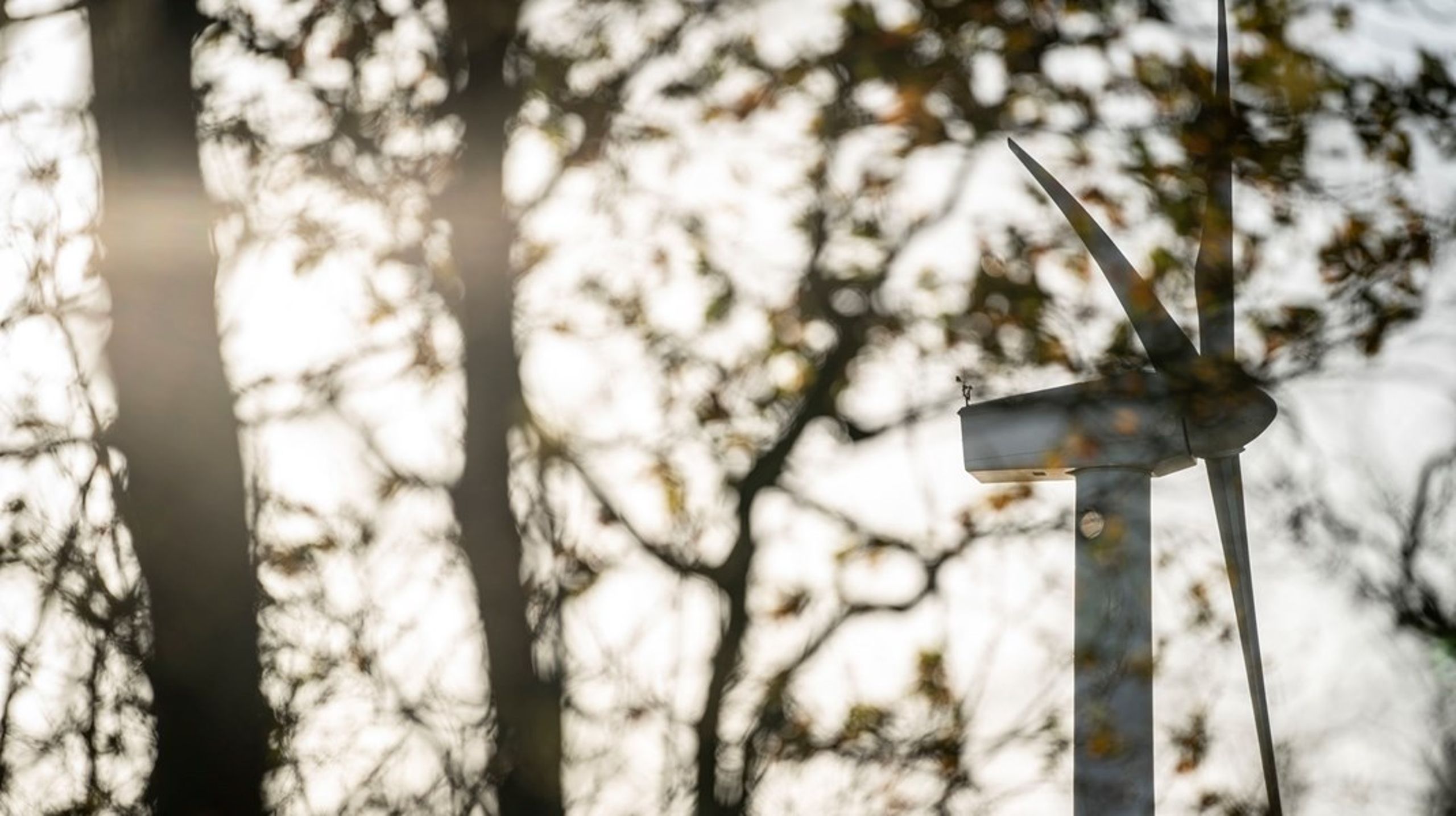 Torsdag er der eksperthøring i Folketinget om borgerinddragelse ved udbygning af vindmøller og solcelleparker.&nbsp;