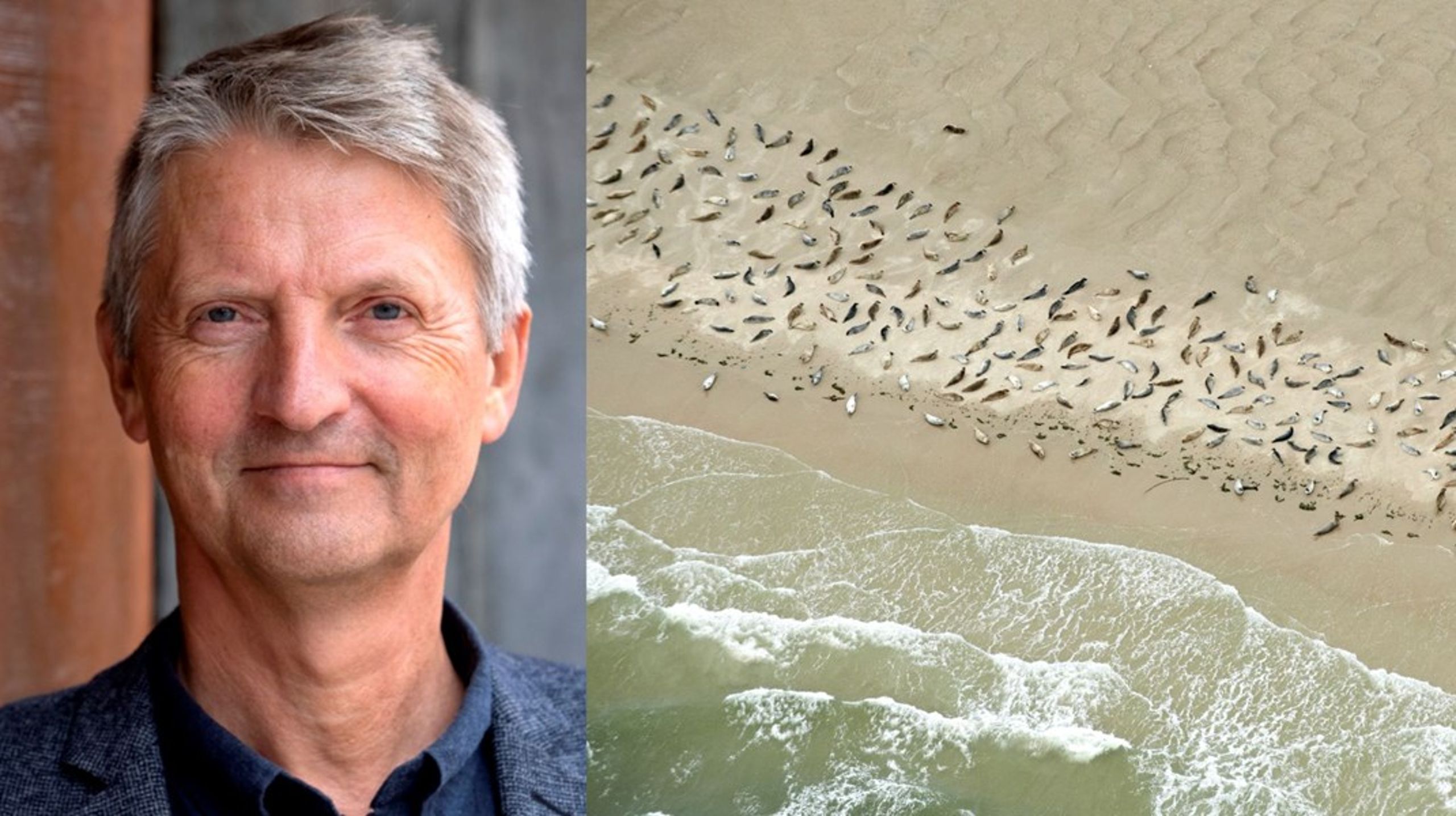 Den naturskønne nationalpark er&nbsp;udpeget til&nbsp;Unescos verdensarv. Området er skabt af tidevandet og bølger og er et&nbsp;fødereservoir for sæler.