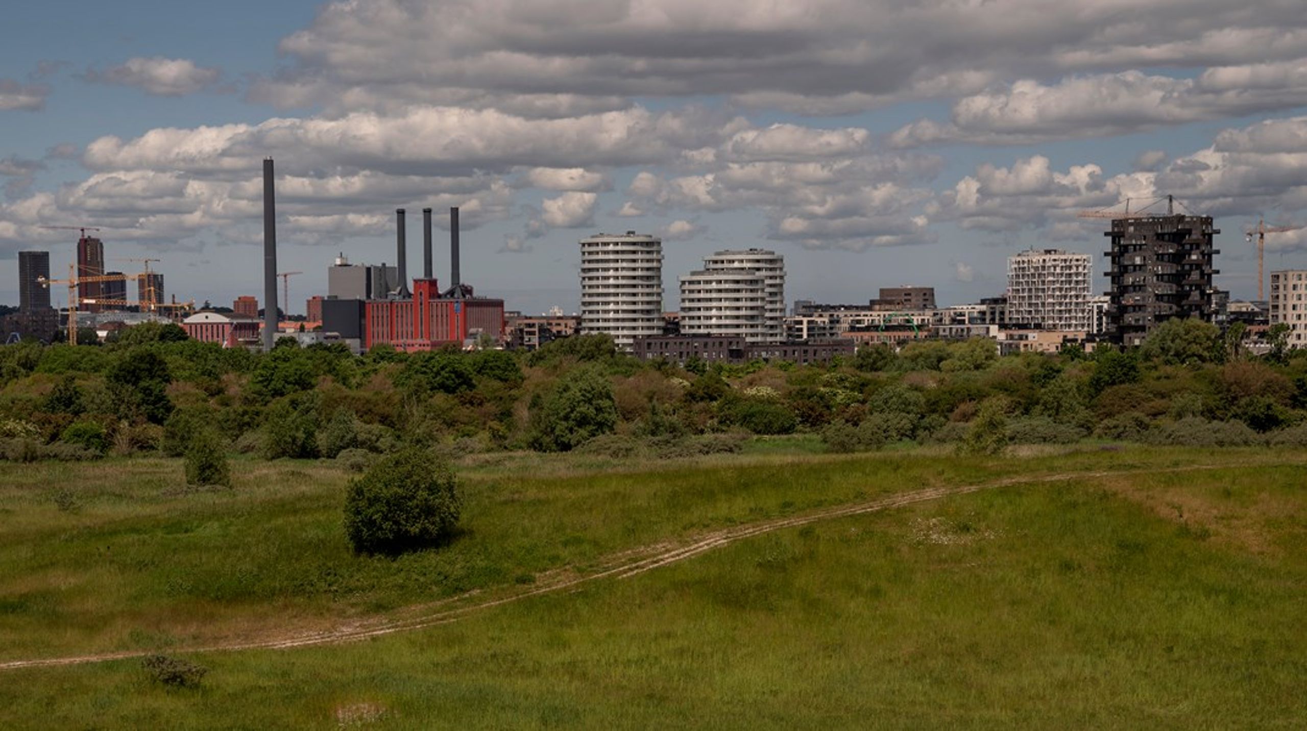 Udnævnelsen til naturnationalpark vil være et værdifuldt tilskud til storbyens friluftsliv og muligheden for at opleve vild natur, skriver&nbsp;Ole Damsgaard.