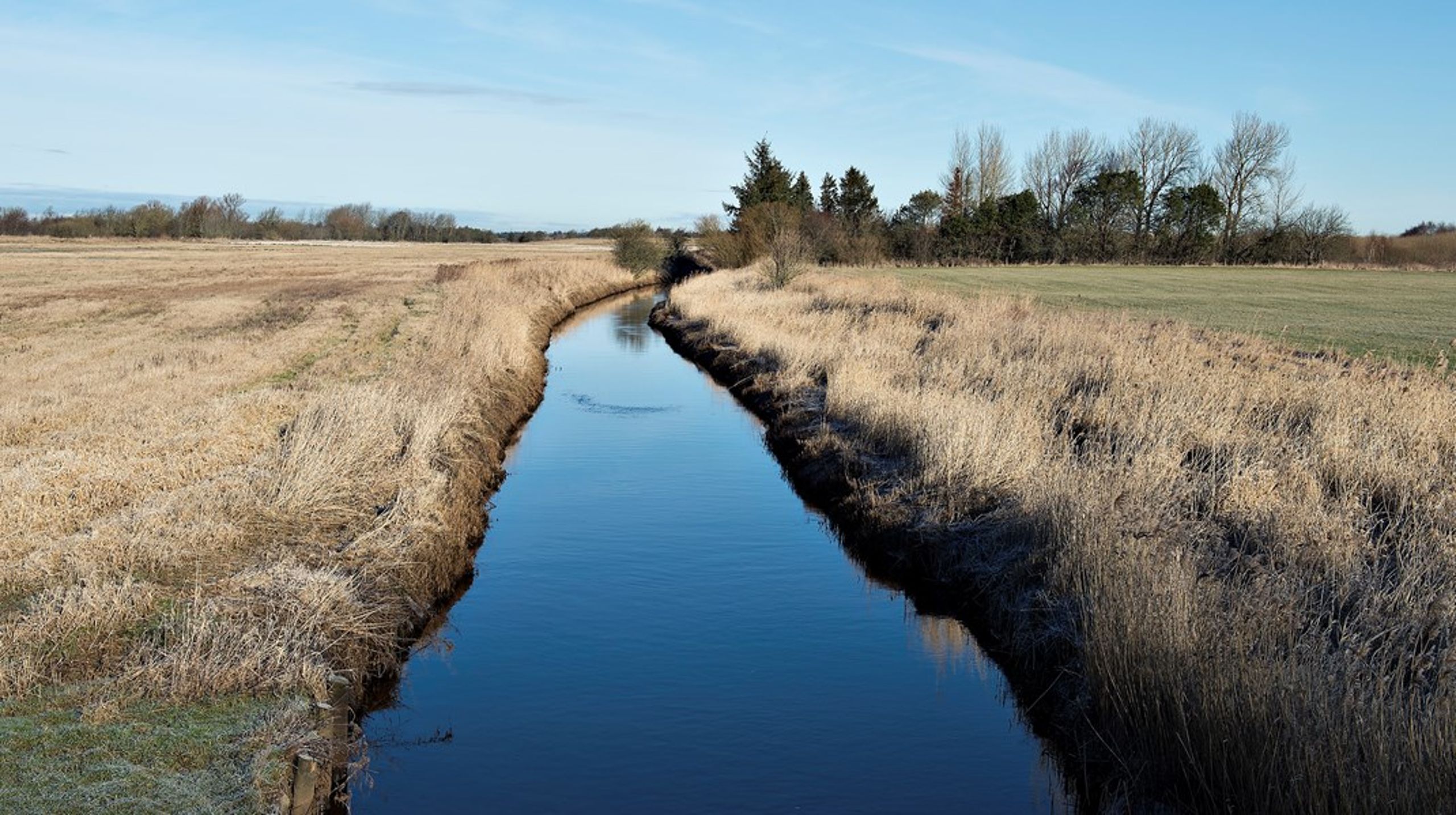 Det forringede miljø&nbsp;hænger ikke sammen med, at landbruget har halveret kvælstofudledningen siden 1980’erne, skriver Leif Knudsen&nbsp;og Flemming Gertz.