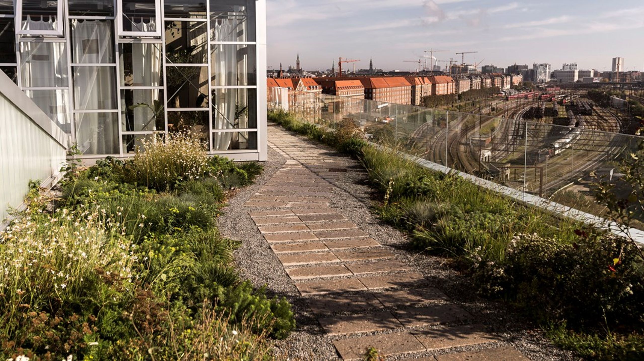 Vi skal gøre indsats for at bevare, beskytte og styrke biodiversitet helt fra den spæde start, når bygherre udvælger og indkøber grunde til fremtidens boliger og kontorbygninger, skriver&nbsp;Torben Möger Pedersen og&nbsp;Maria Reumert Gjerding.