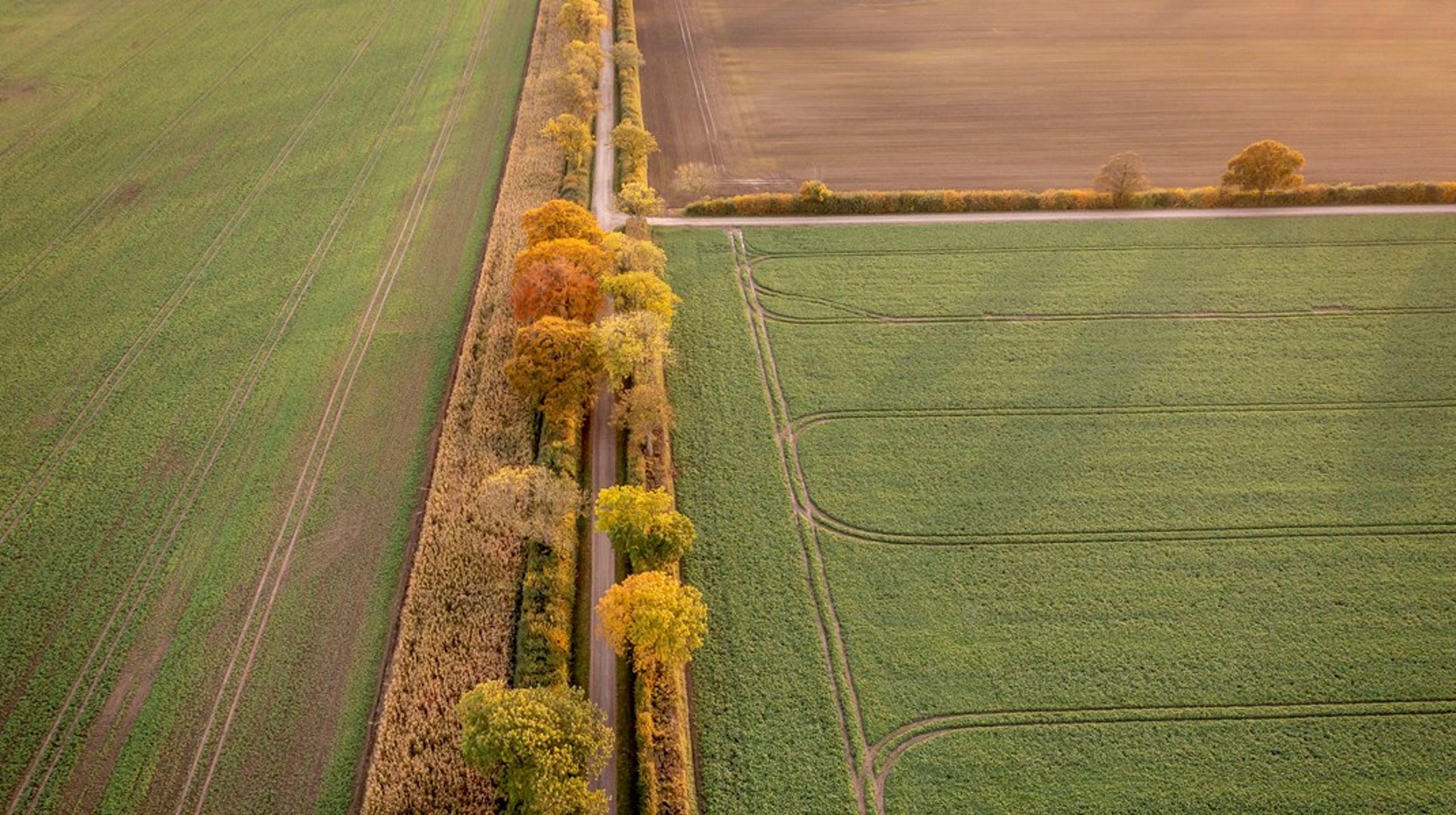Vi bruger i Danmark 61 procent af vores areal på landbruget. Det er ekstremt, skriver&nbsp;Anne-Sofie Sadolin Henningsen.