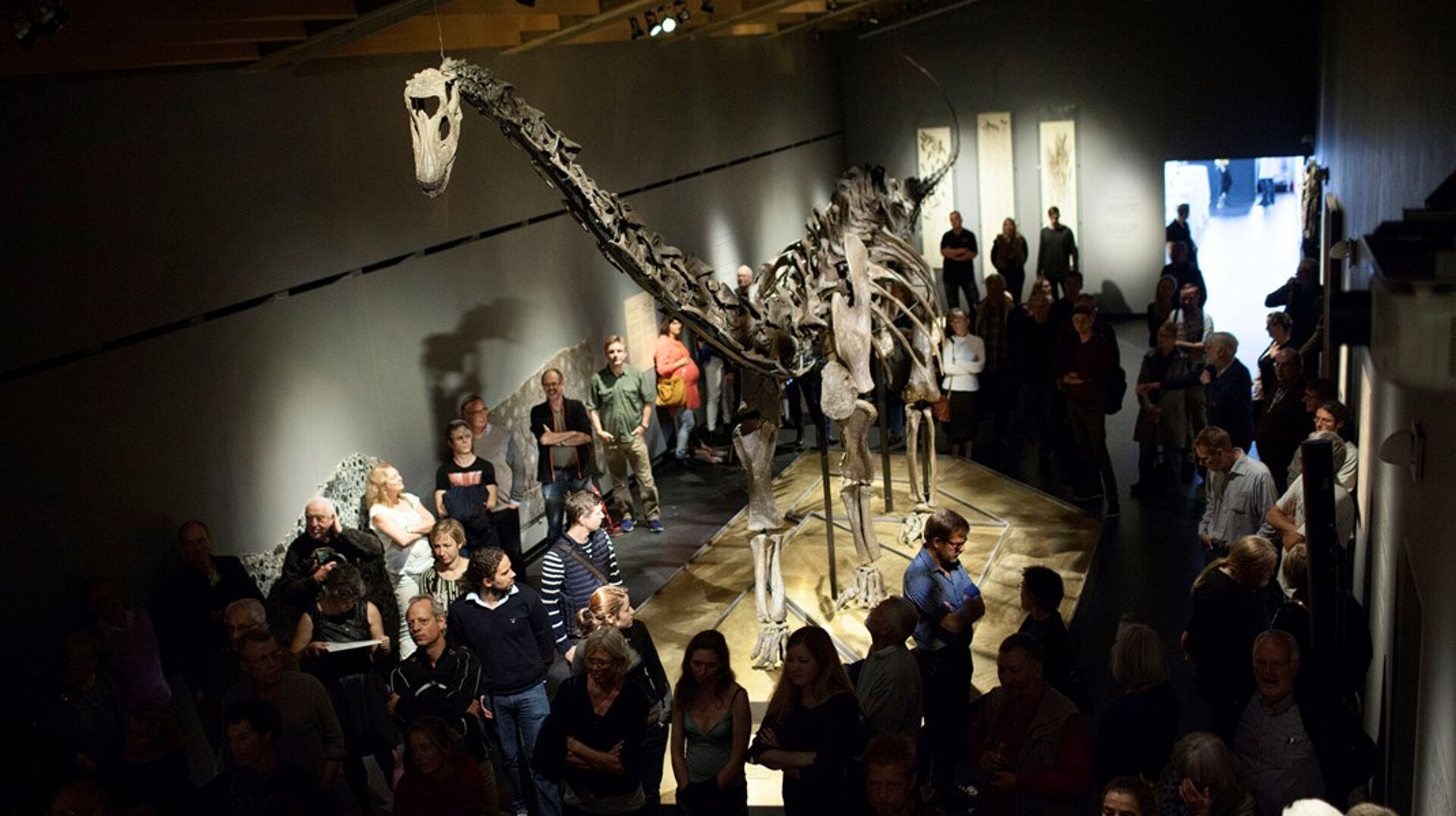 Seks direktører for landets naturhistoriske museer har tidligere skrevet, at de ønsker Statens Naturhistoriske Museum flyttet fra Københavns Universitet og Uddannelses- og Forskningsministeriet til Kulturministeriet. Nu kommer Universitetet og Museet med et svar.