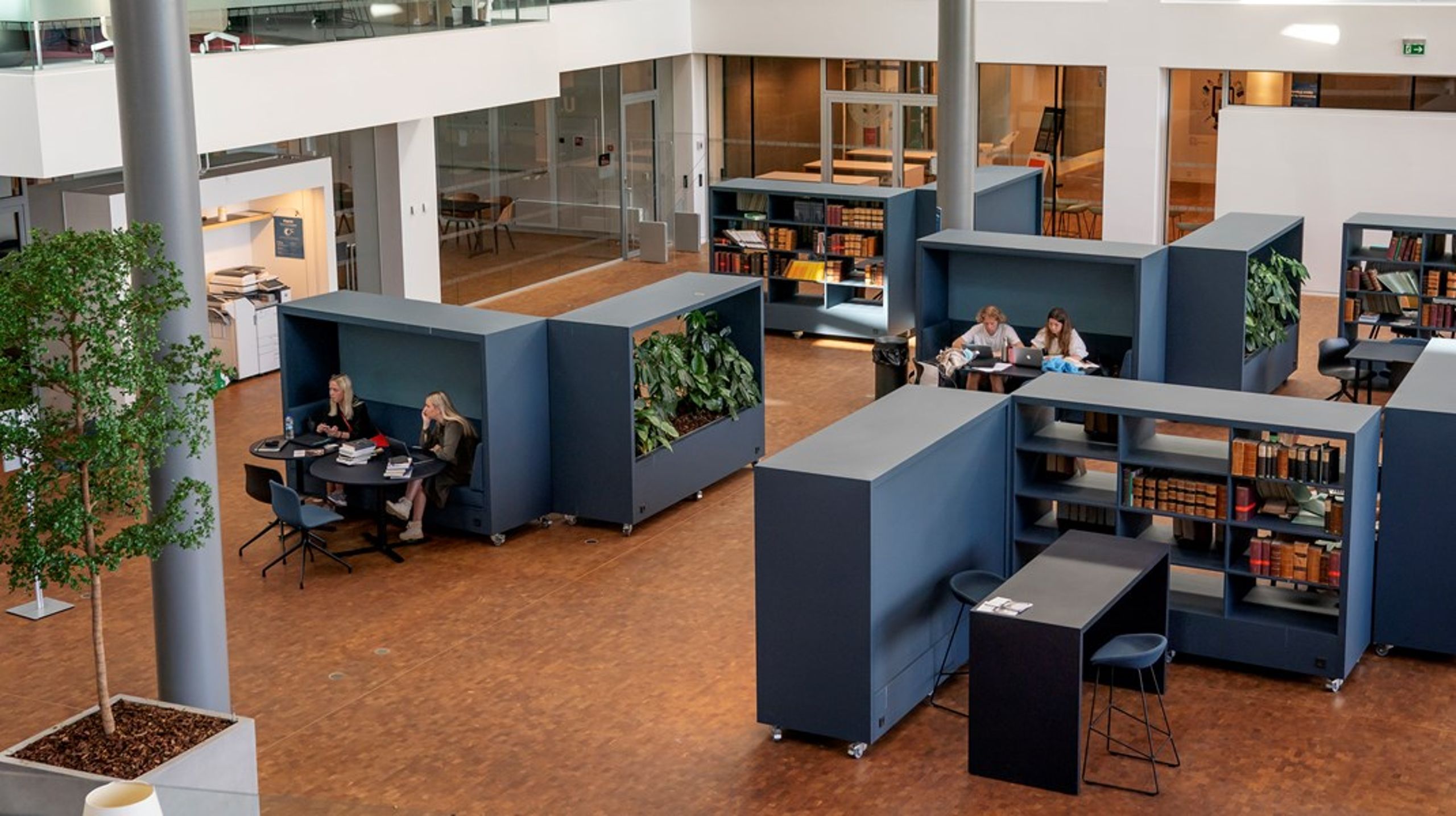 Censorinstitutionen er et vigtigt kvalitetssikringselement i den institutionsakkreditering, de videregående uddannelsesinstitutioner i dag arbejder ud fra, skriver Censorforeningen.<br>