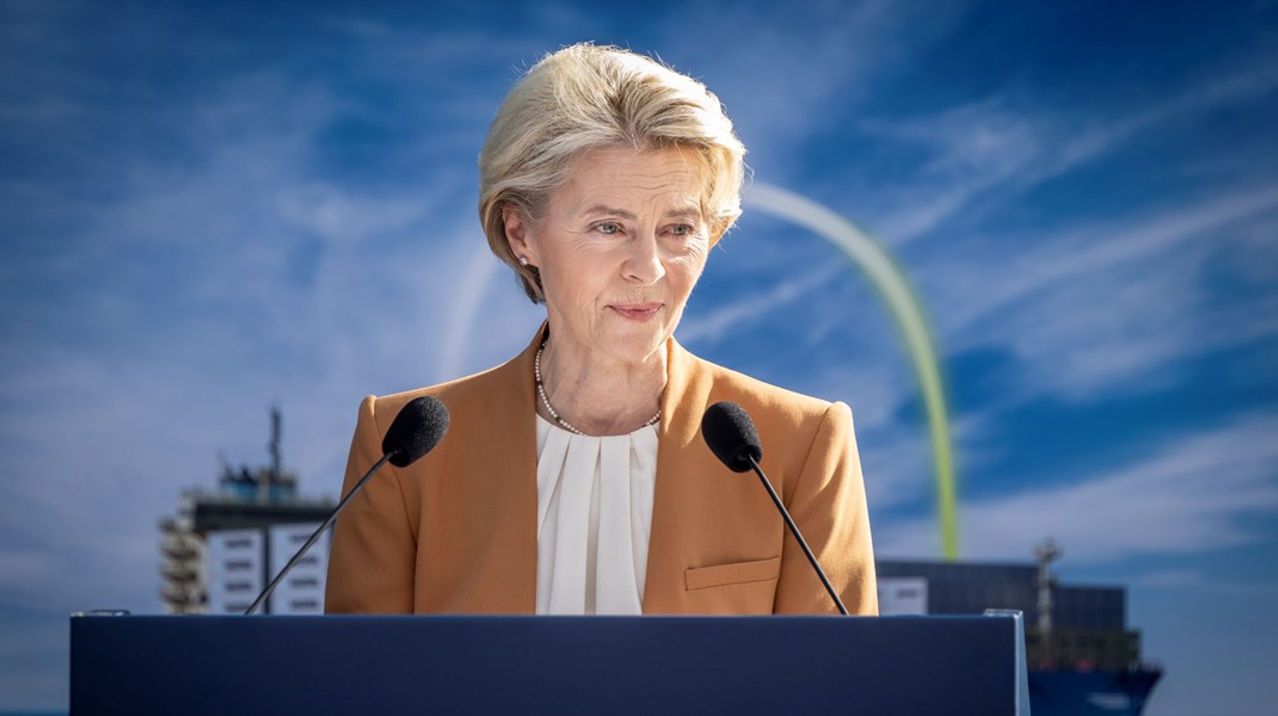 Ifølge&nbsp;Michael
Ehrenreich&nbsp;hviler der et kæmpe ansvar på
kommissionsformand Ursula von der Leyen samt stats- og
regeringscheferne, da situationen med Georgien&nbsp;udgør et svært dilemma for Kommissionen.<br>