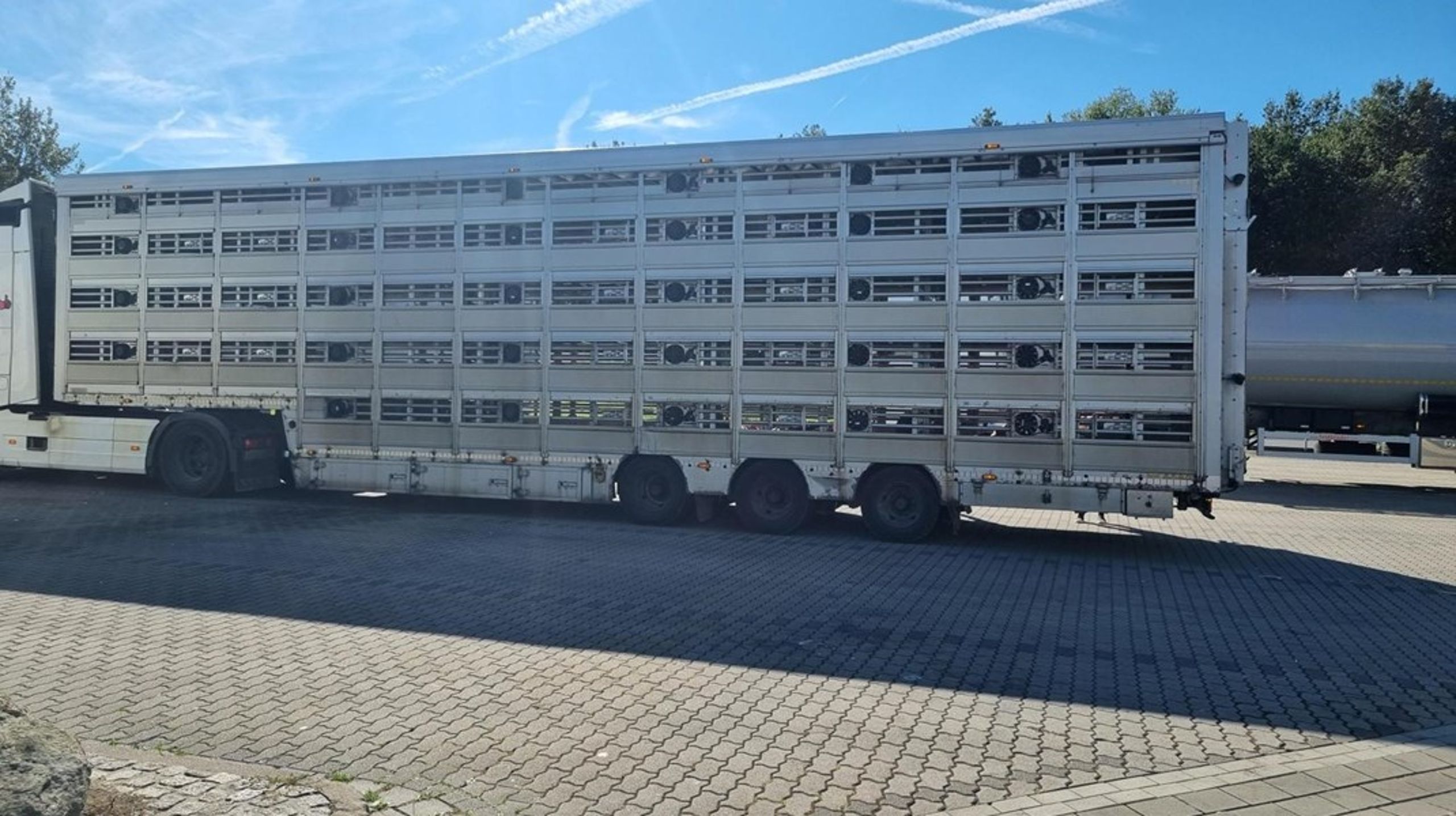 Der er i dag ingen krav til de indvendige loftshøjder på transporterne af svin, der vejer mindre end 40 kg. Stort set alle de 14 millioner svin, der eksporteres fra Danmark hvert år, er i denne vægtkategori.&nbsp;
