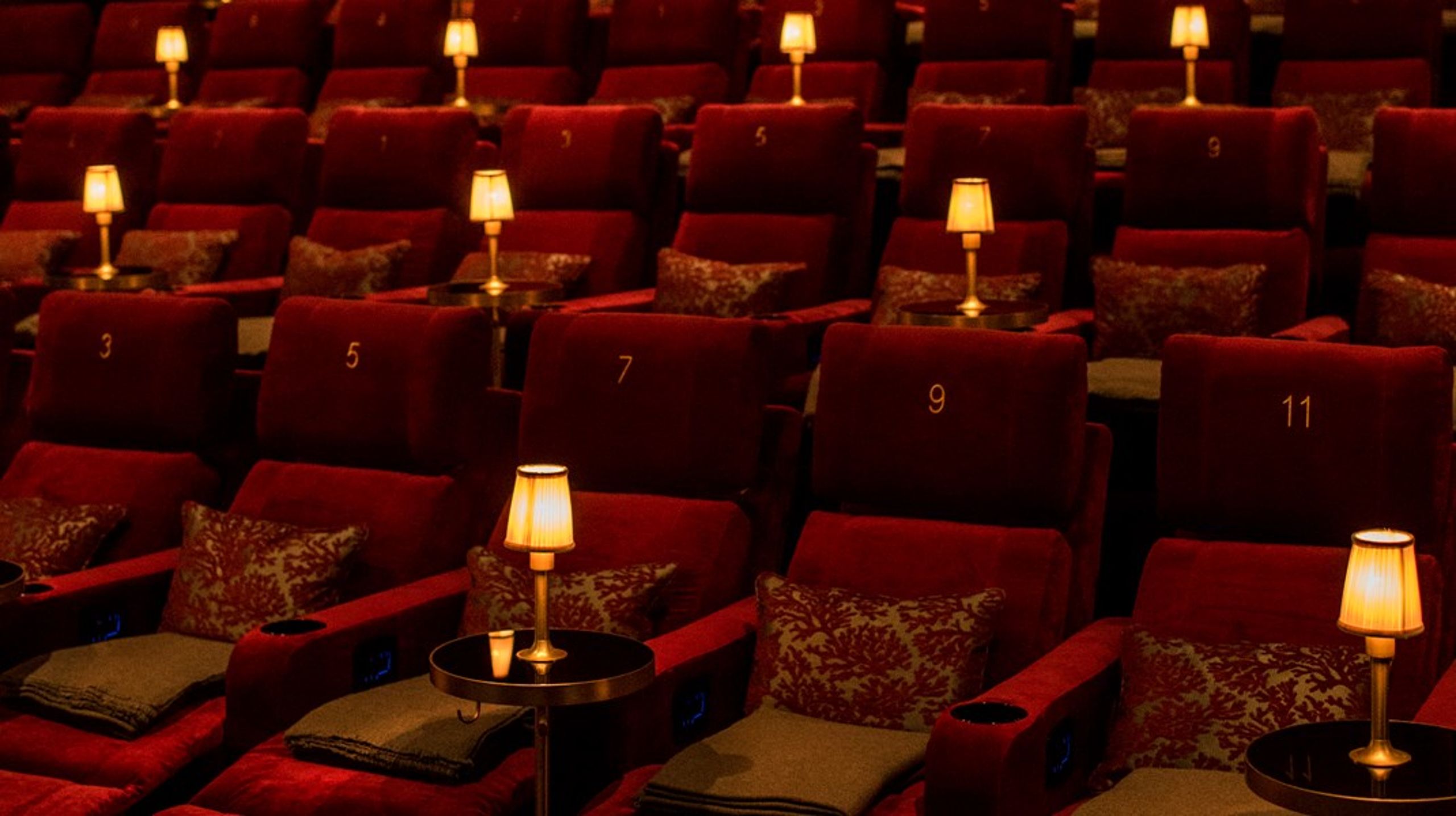 CPH:DOX er ikke bare en stor publikumssucces, med mere end 125.000 besøgende i 2023, den er i dag bredt internationalt anerkendt som en af verdens absolut største og vigtigste dokumentarfilmfestivaler, skriver&nbsp;Niklas Engstrøm &amp; Katrine Kiilgaard.&nbsp;