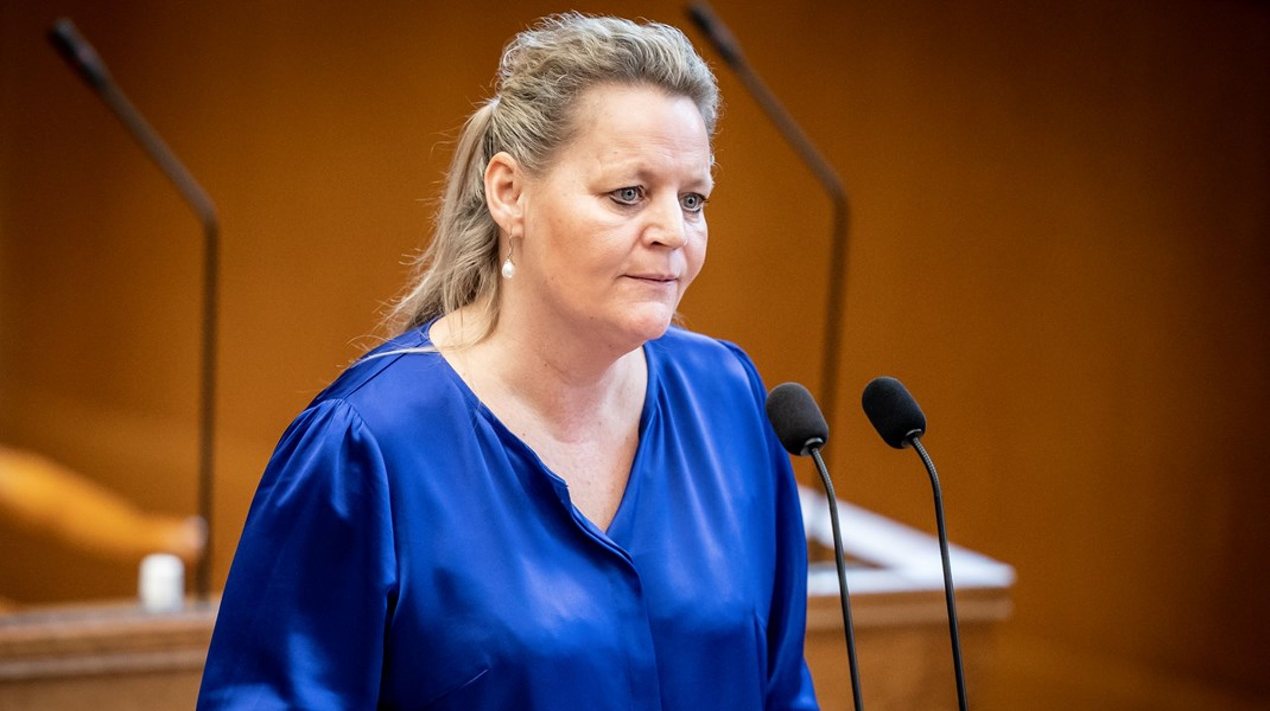 Danmarksdemokraterne vil være meget opmærksomme på, at de retsikkerhedsgarantier, loven udsteder, også bliver fulgt og overholdt i praksis, skriver&nbsp;Karina Adsbøl (DD).