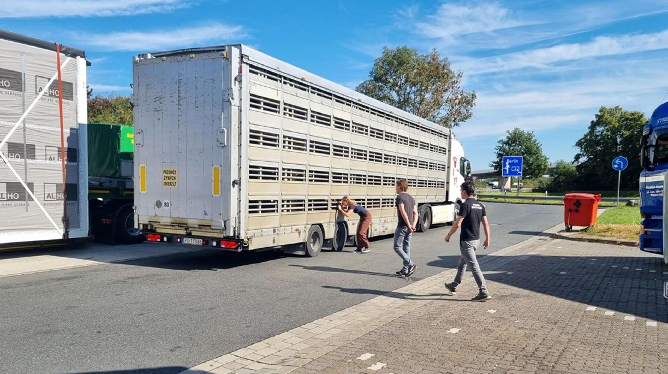 I 2019 blev i alt 35 millioner levende svin transporteret fra et EU-land til et andet. Danmark stod alene for 42 procent af det antal.